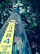 A wooden utility pole is viewed from a low angle, extending upwards into a canopy of leaves. The pole features a yellow identification tag with the number 04884 and the text 'Town of Apex' clearly visible. The background consists of dense tree foliage, creating a natural setting.