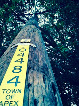A wooden utility pole is viewed from a low angle, extending upwards into a canopy of leaves. The pole features a yellow identification tag with the number 04884 and the text 'Town of Apex' clearly visible. The background consists of dense tree foliage, creating a natural setting.