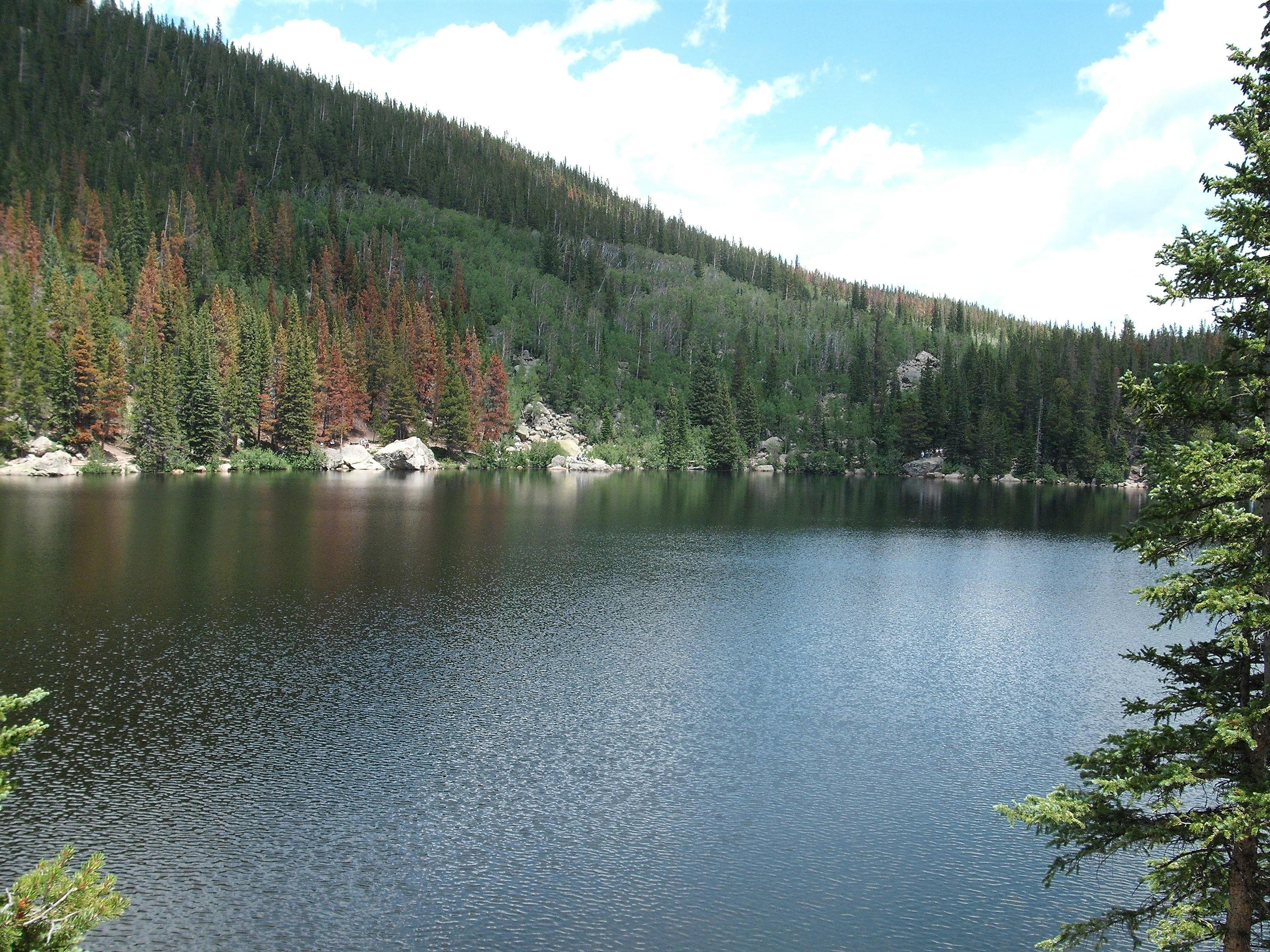 Free Unsplash photo from Toni Barnes