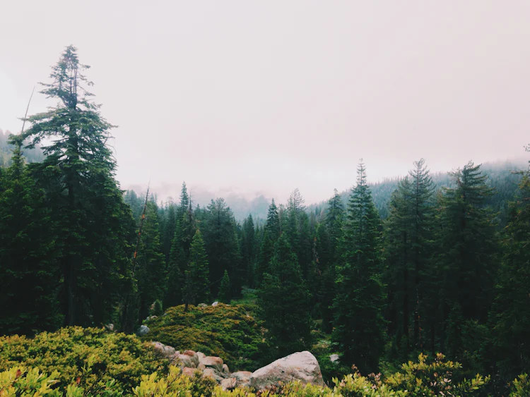 how cloud learn Wet on by Unsplash Wil (@wilstewart3) pebbles Stewart photo how cloud learn Wet on by Unsplash Wil (@wilstewart3) pebbles Stewart photo