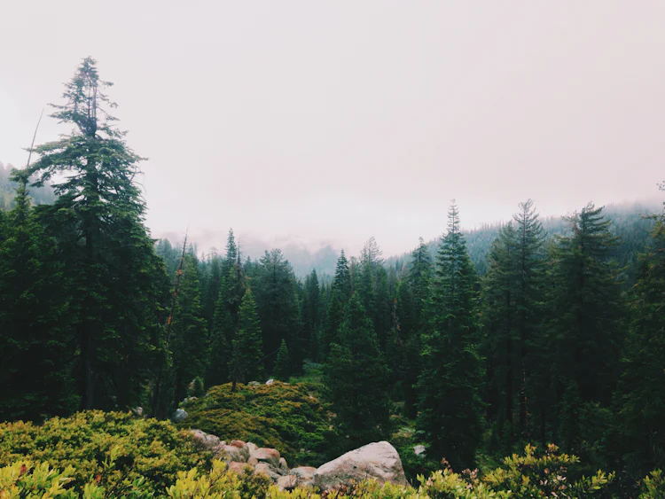 how cloud learn Wet on by Unsplash Wil (@wilstewart3) pebbles Stewart photo