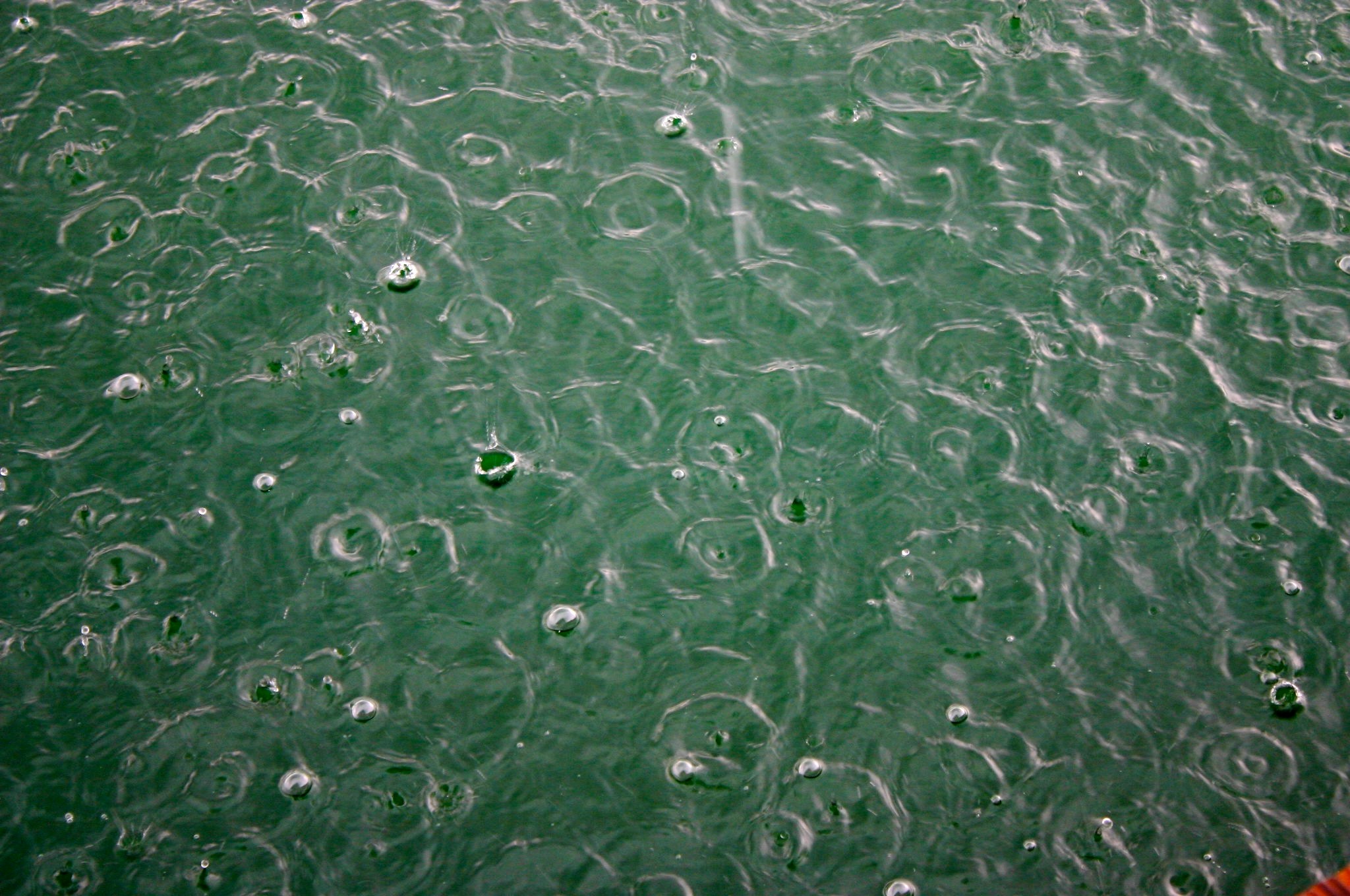 Free Unsplash photo from Haley Moore