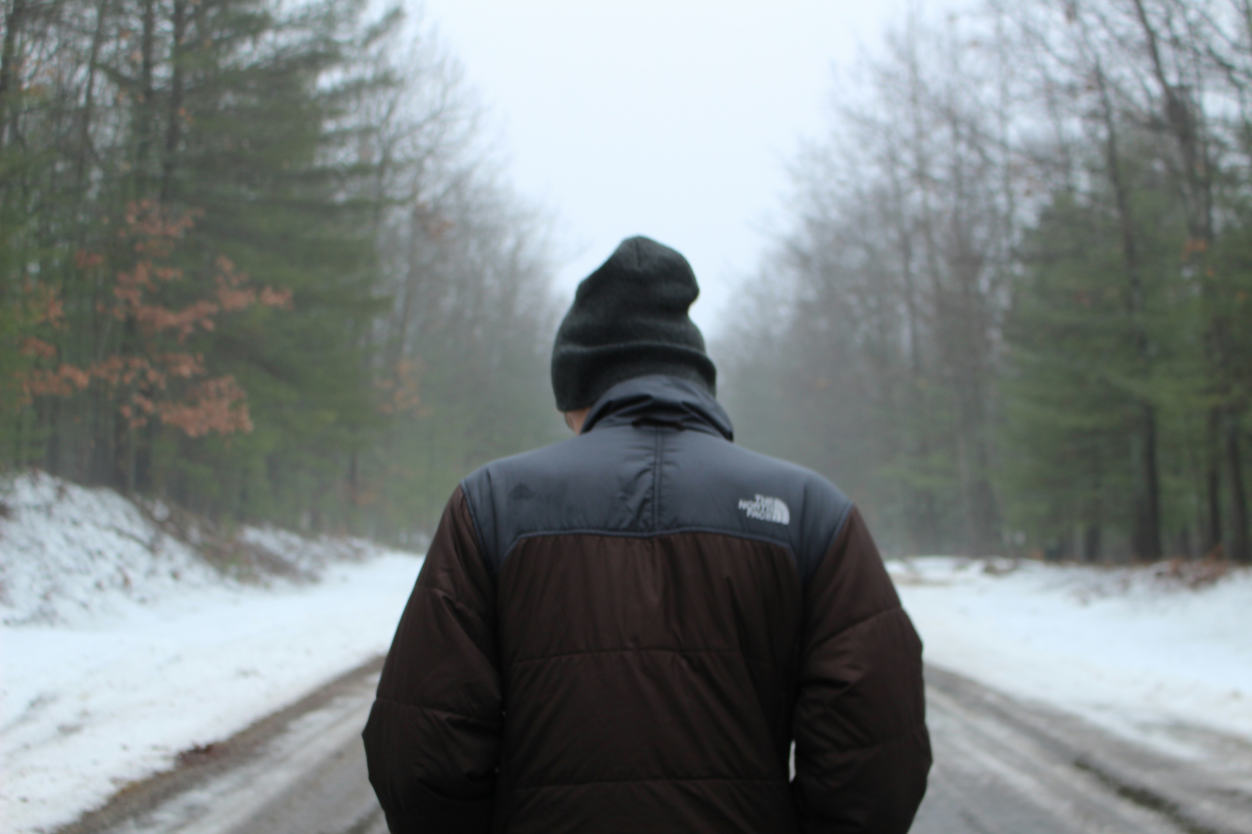 Free Unsplash photo from Katherine Murphy