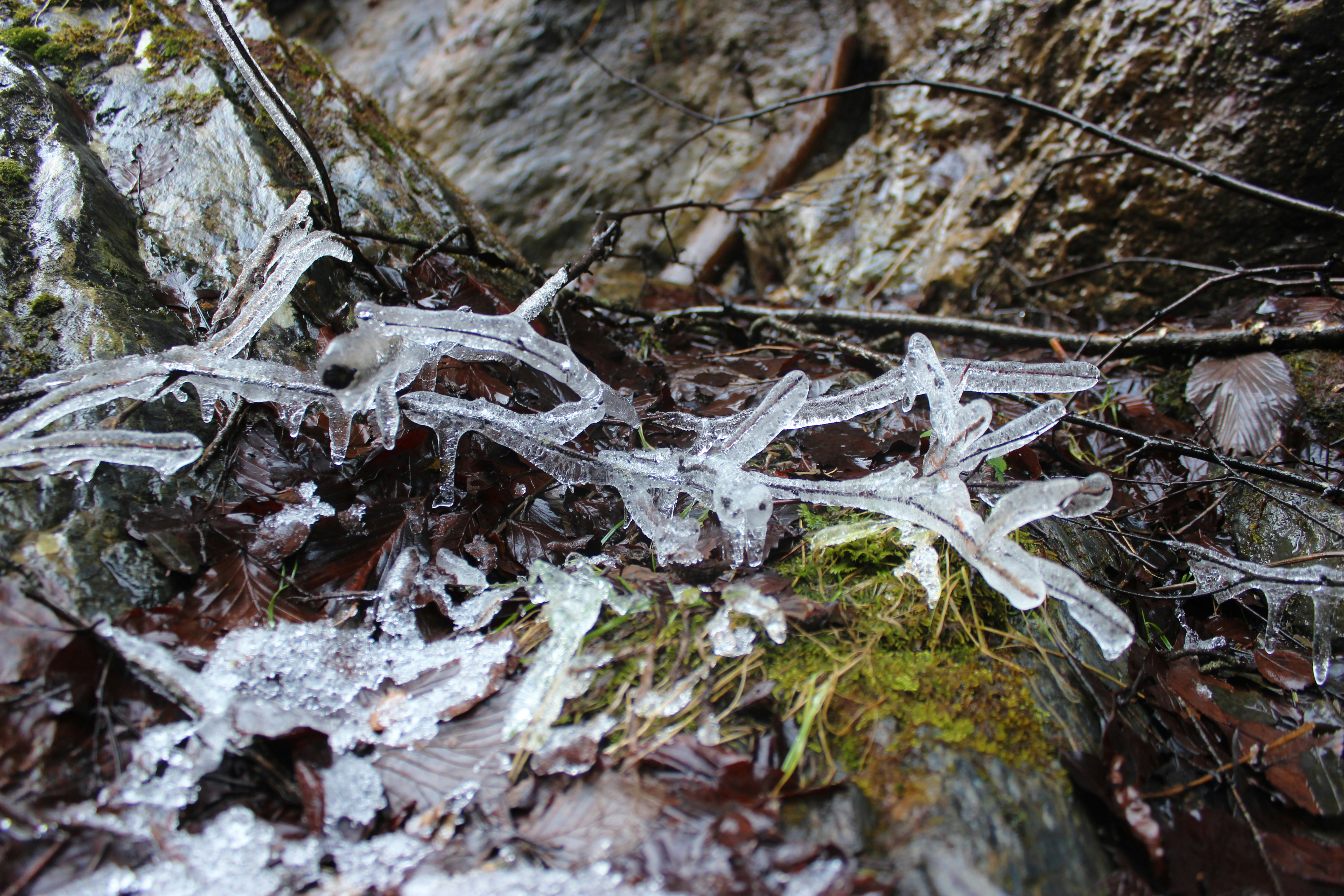 Free Unsplash photo from Adam Horton