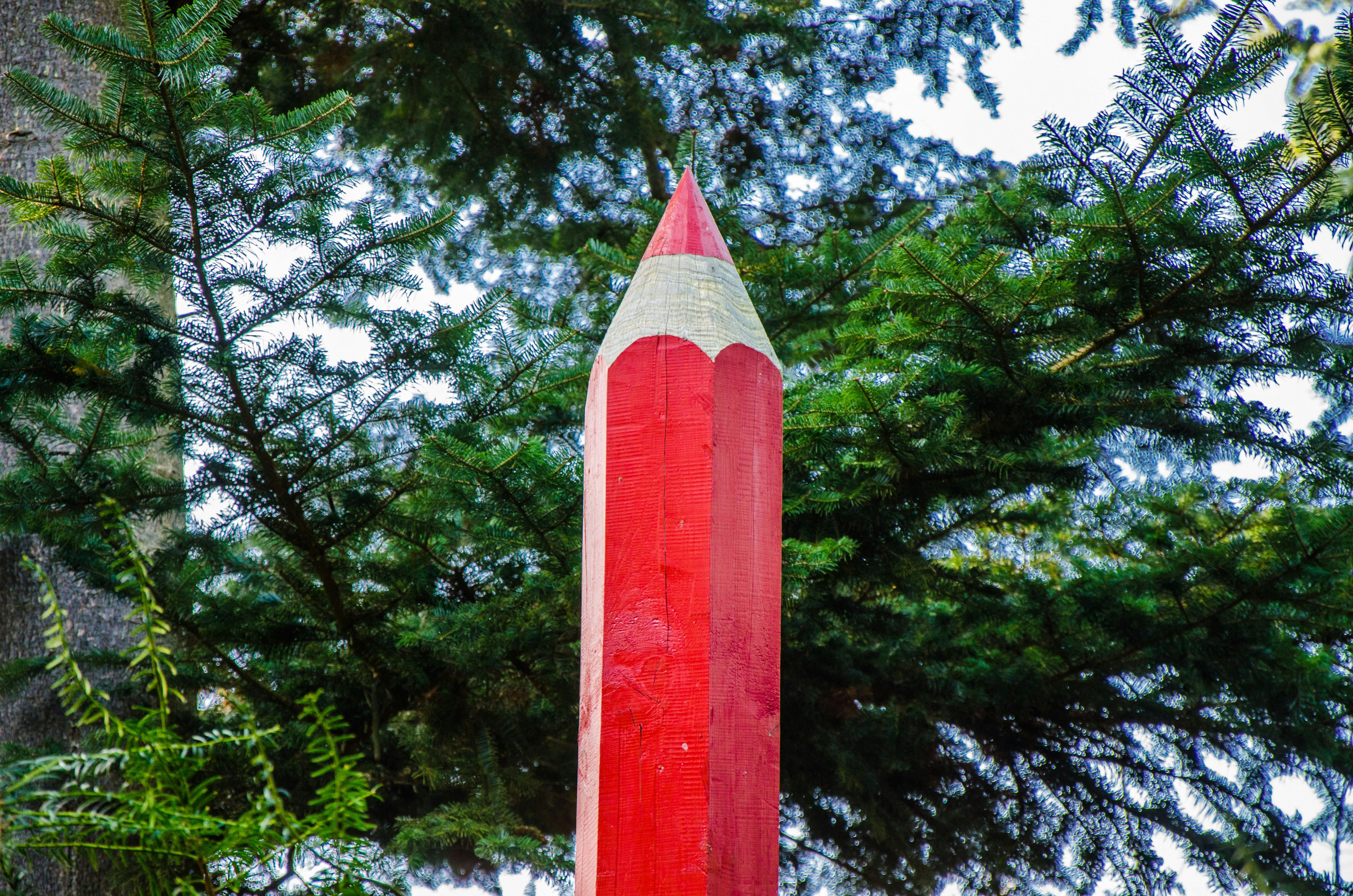 Free Unsplash photo from Michael Zachrau