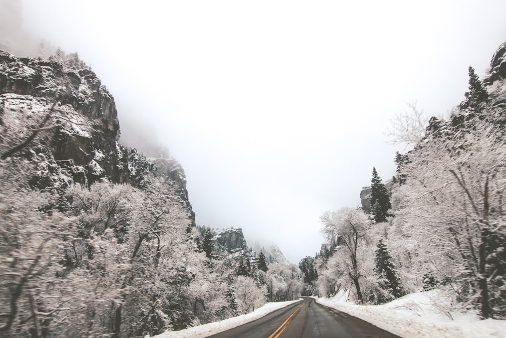 landscape photography of road in the middle of mountains and trees