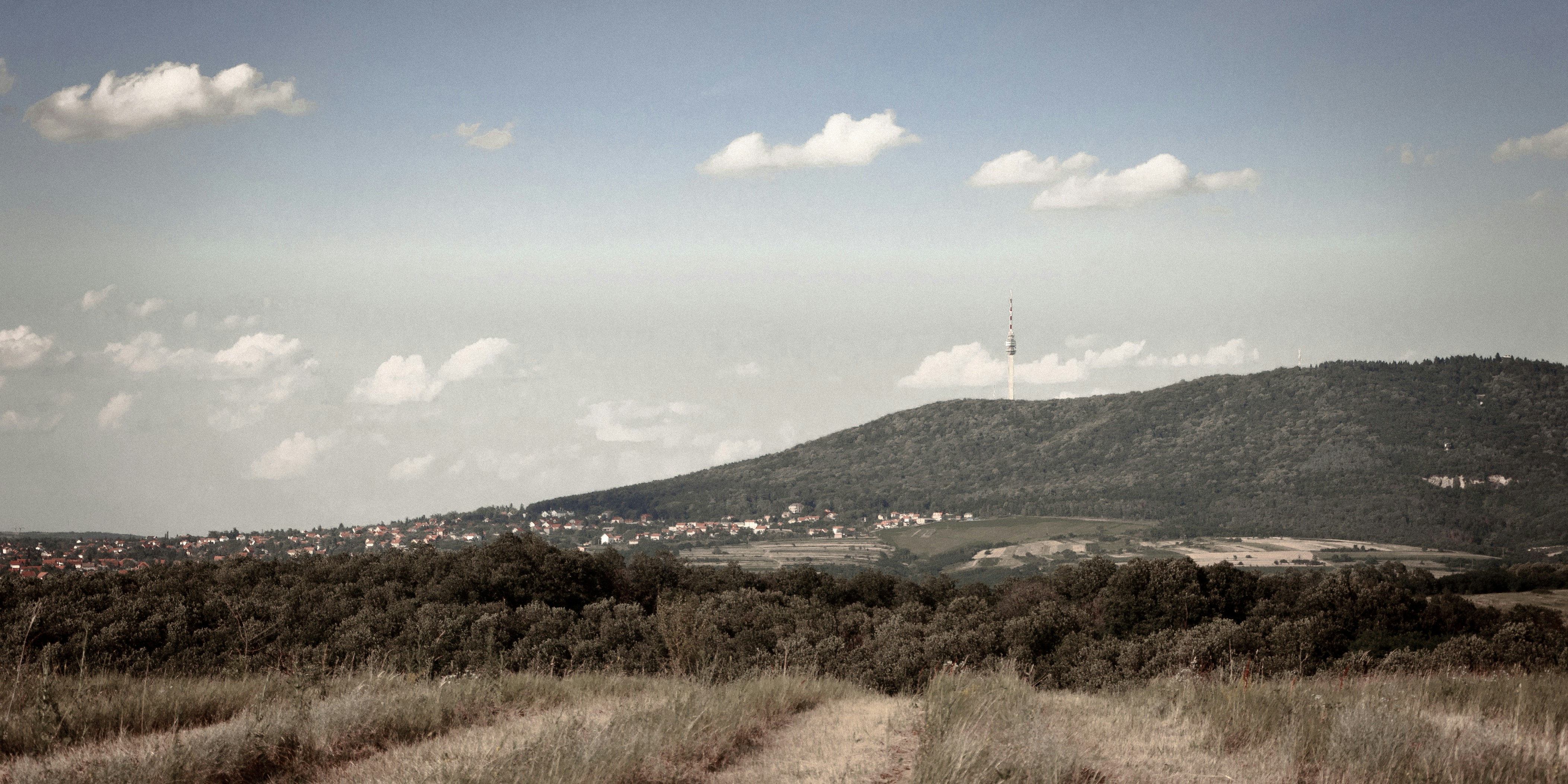 Free Unsplash photo from Luka Ostojic