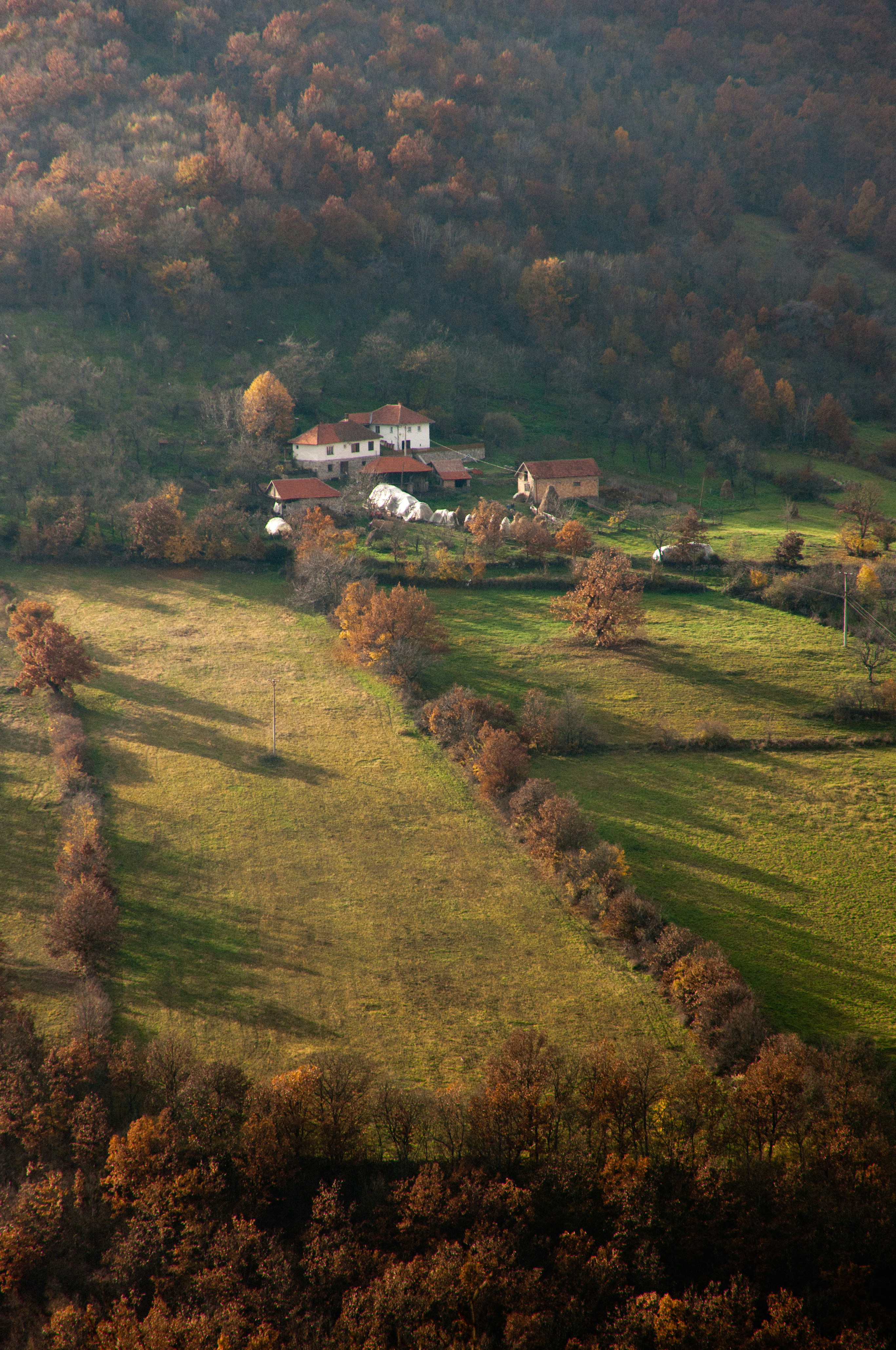 Free Unsplash photo from Luka Ostojic