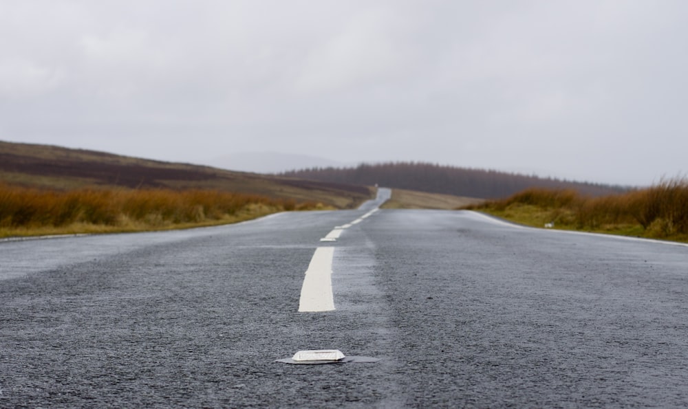 gray asphalt road with grasses beside under gray sky