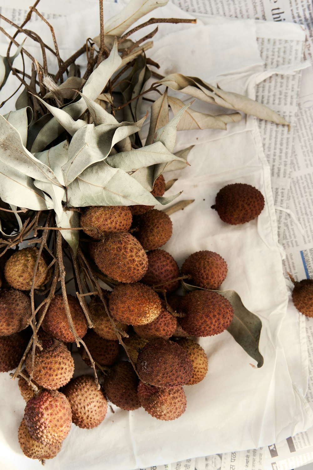 brown fruits on white textile