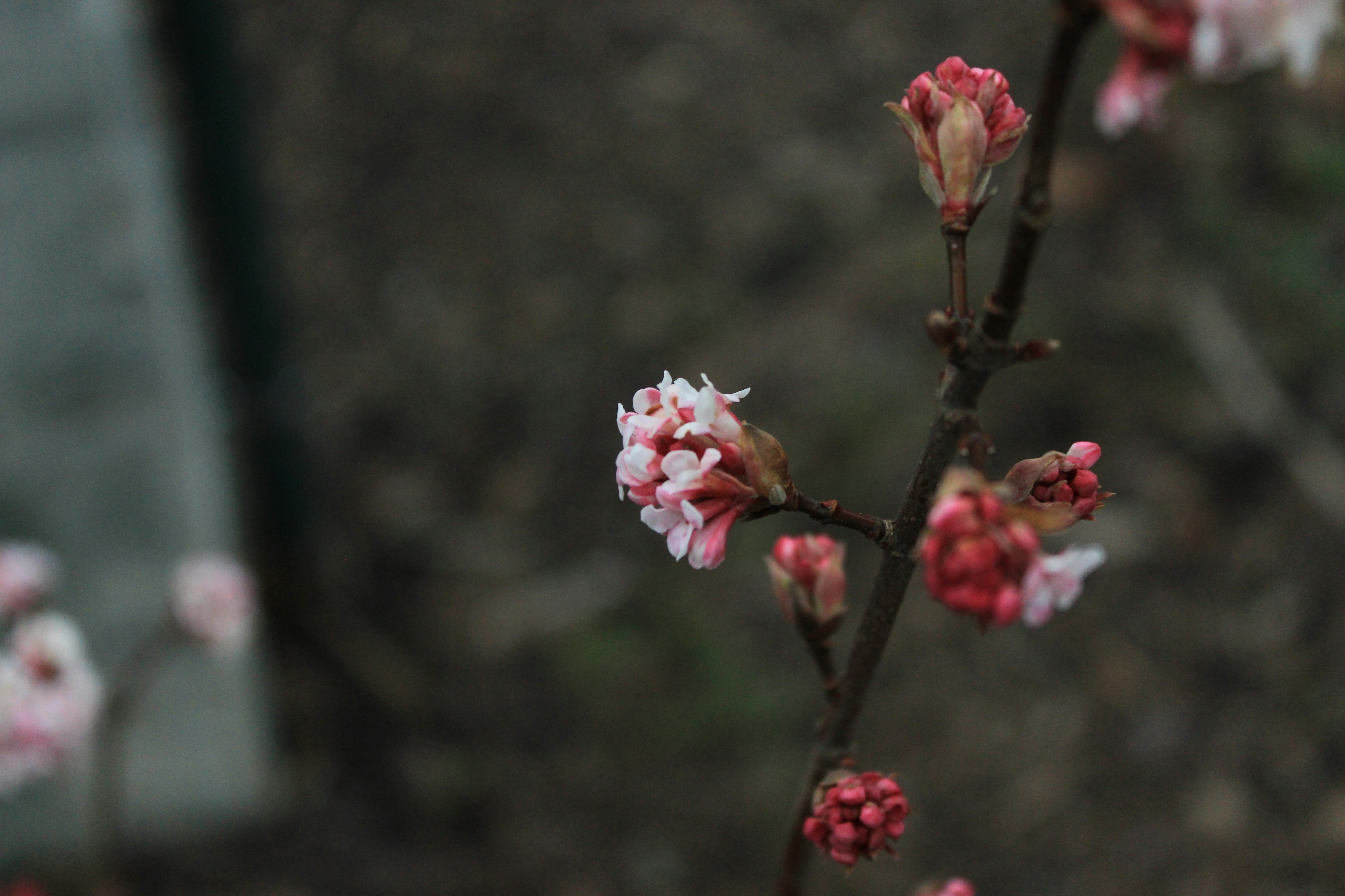 Free Unsplash photo from Jan Kahánek