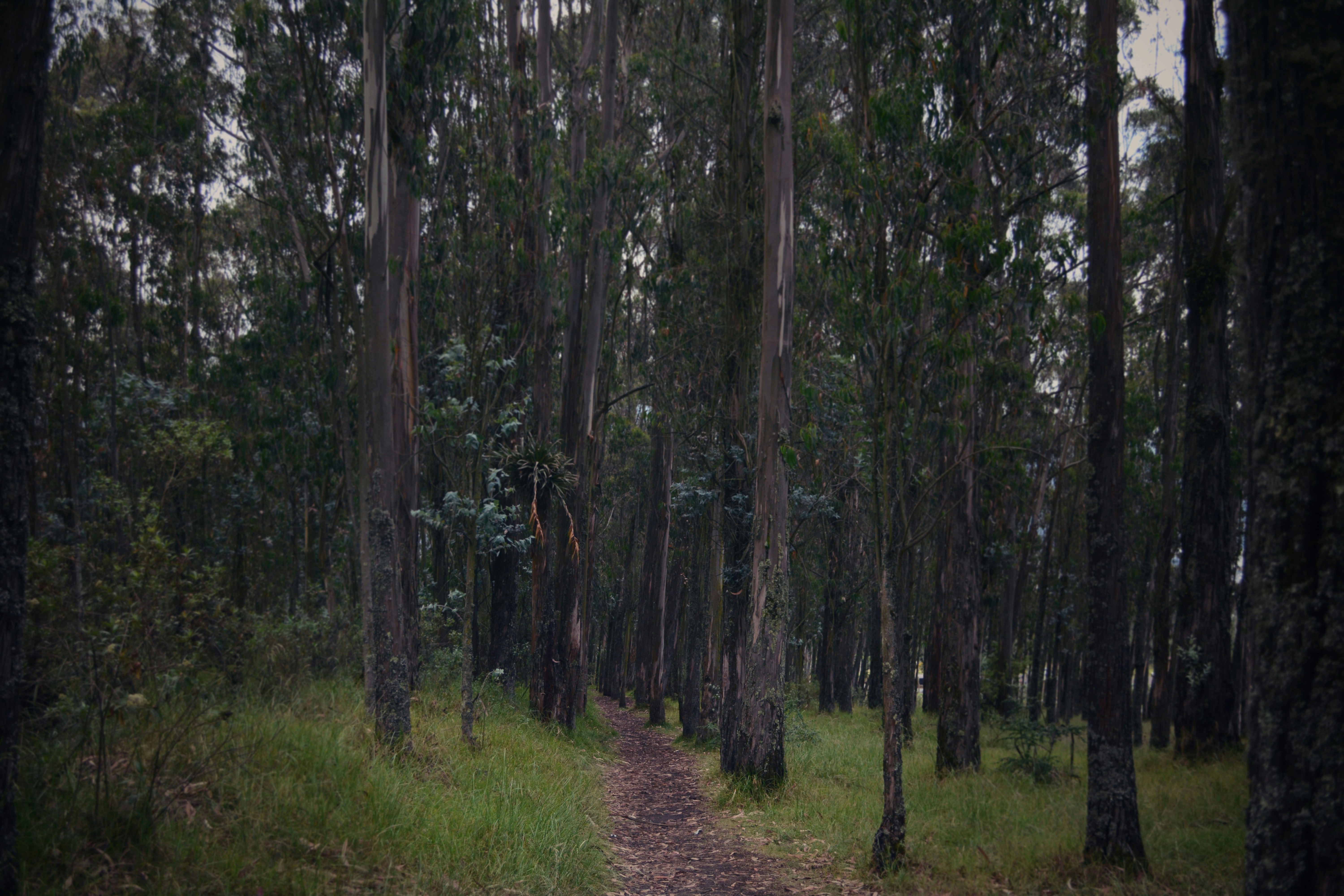 Free Unsplash photo from Studio 14