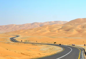 A winding desert road in Asia with a van parked beside a lone tree under a vast sky.