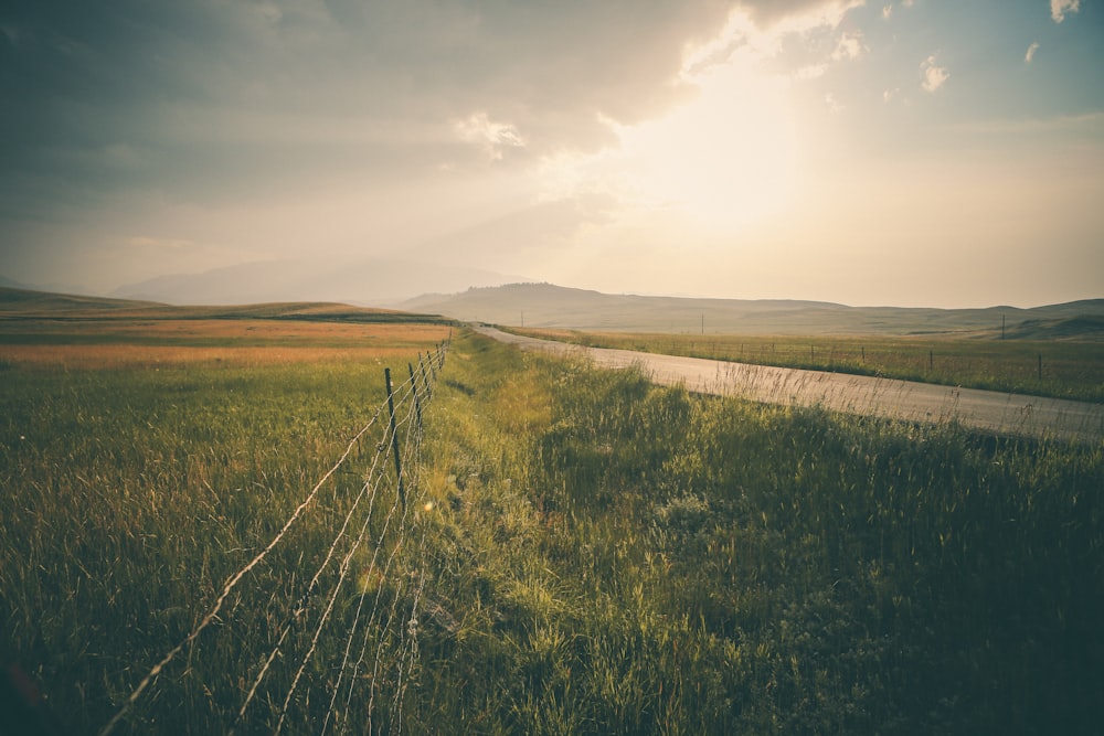 landscape photography of green field