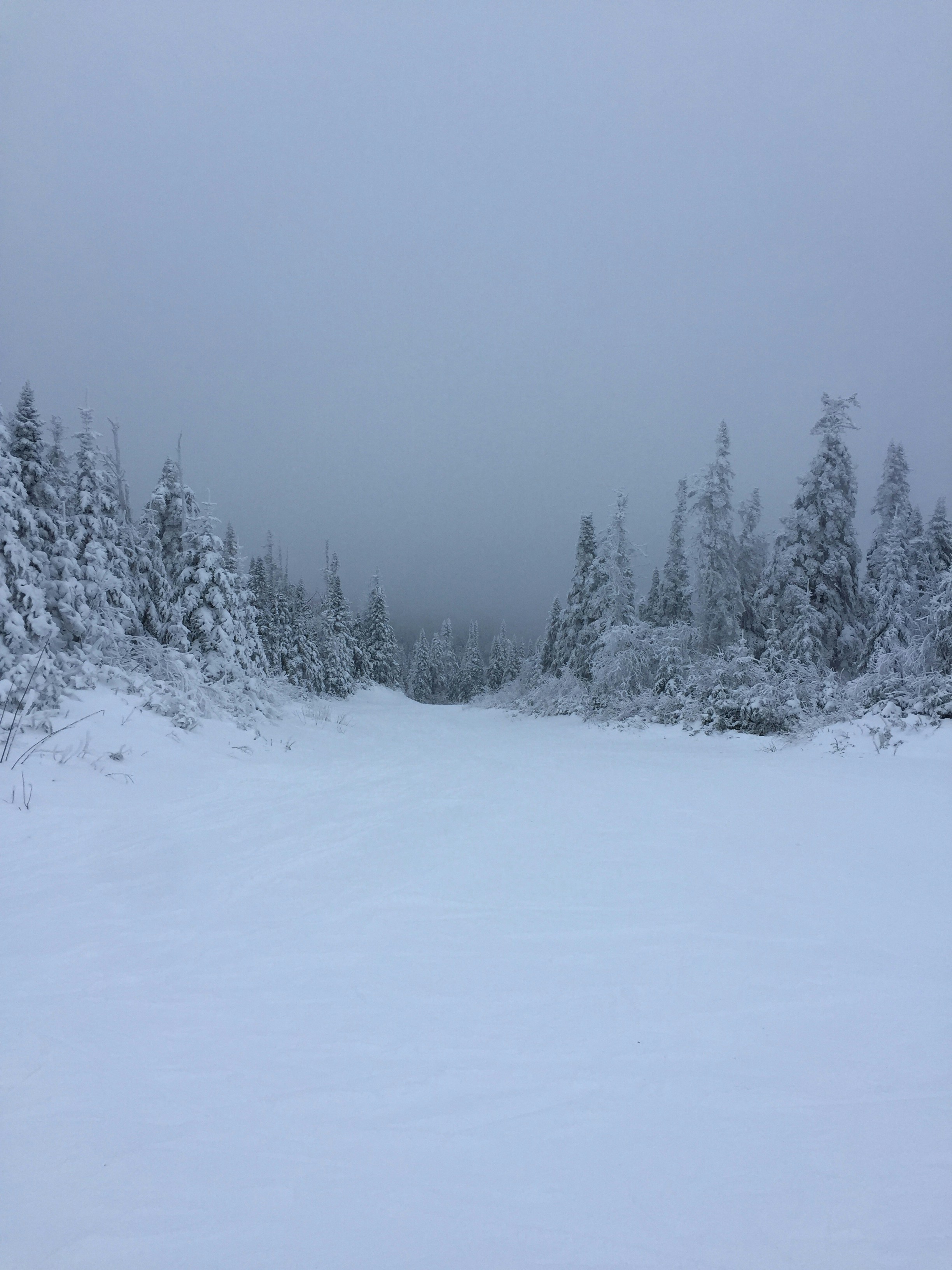 Free Unsplash photo from Jordan Smith