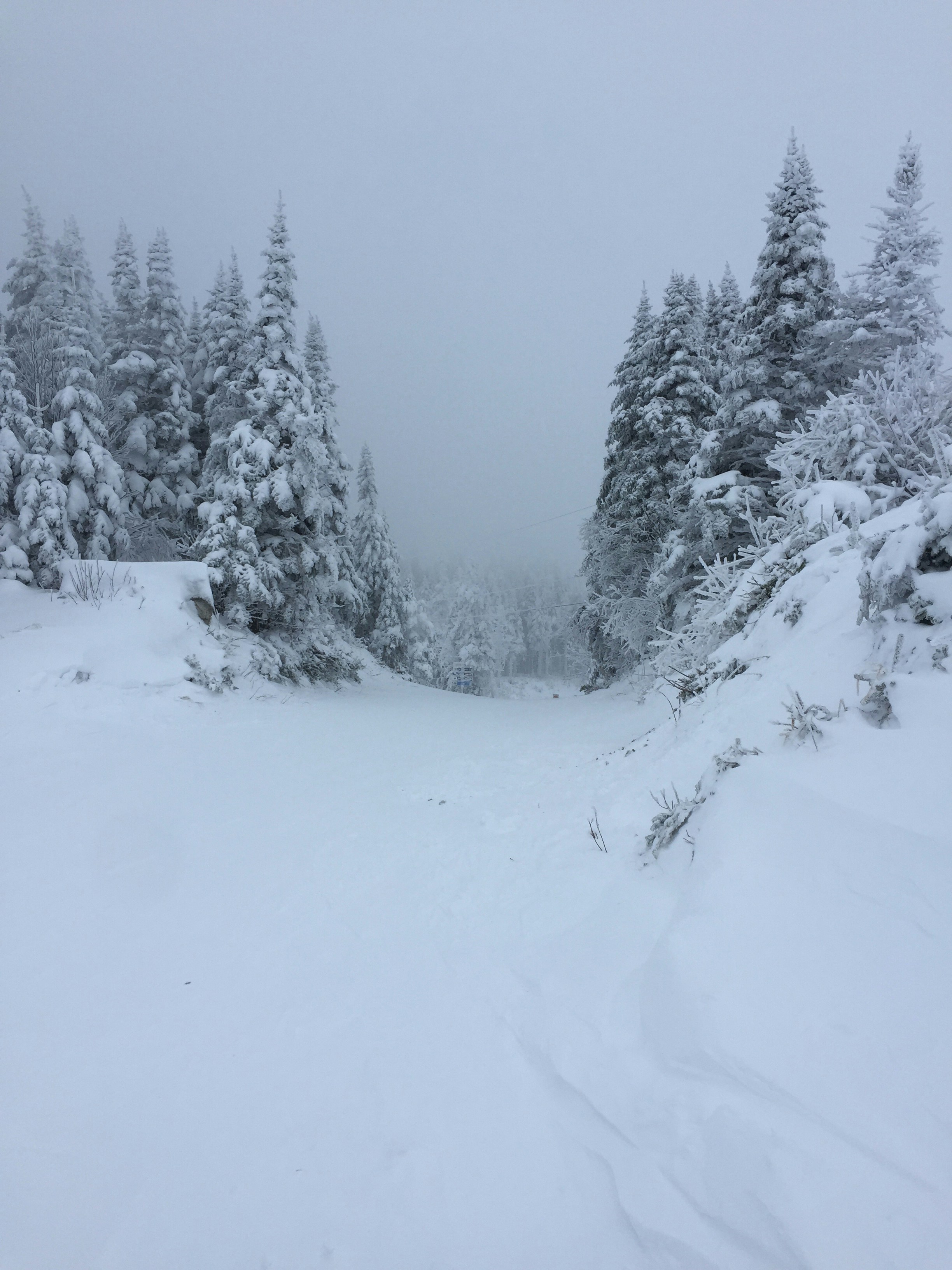 Free Unsplash photo from Jordan Smith