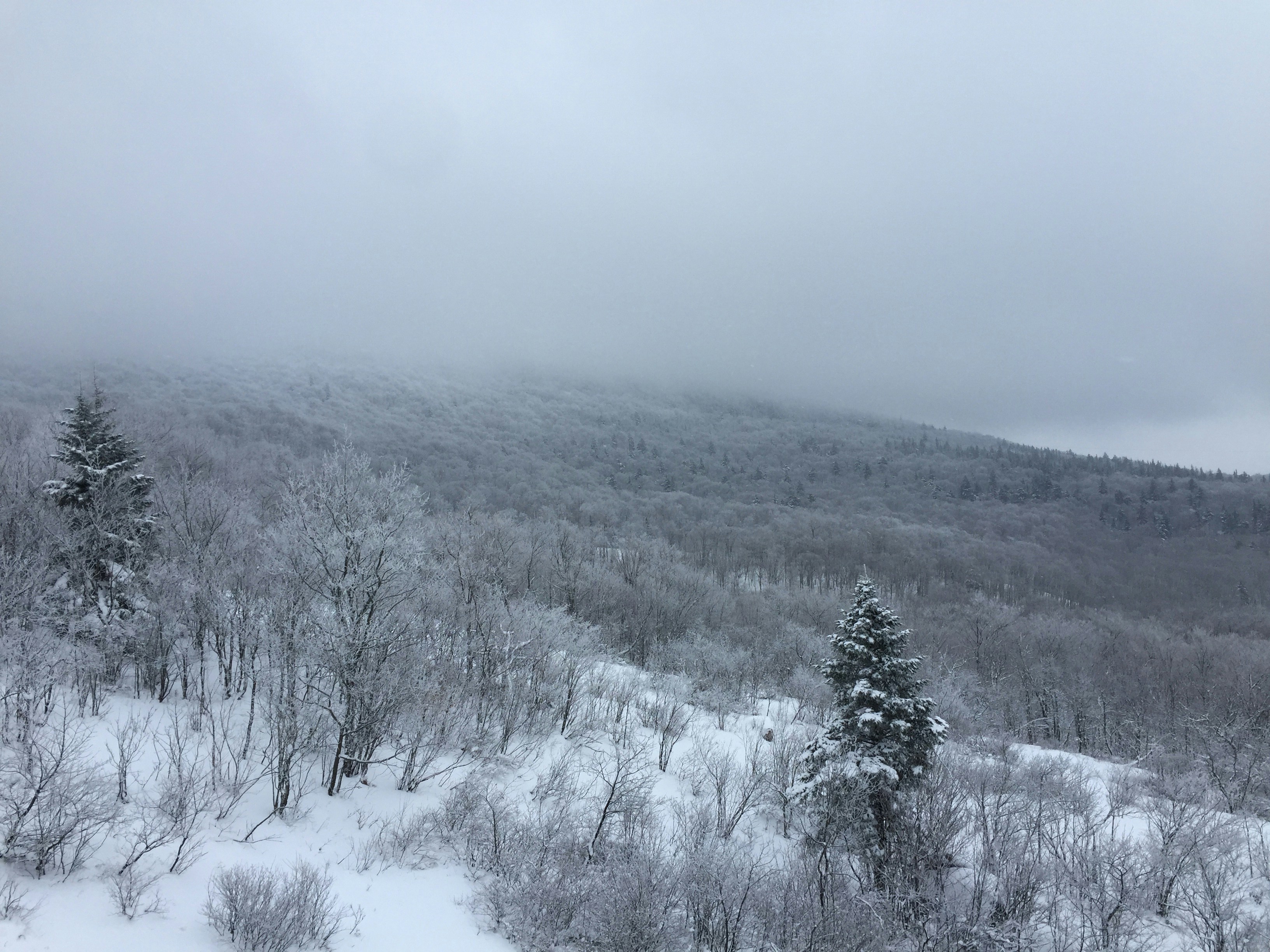 Free Unsplash photo from Jordan Smith