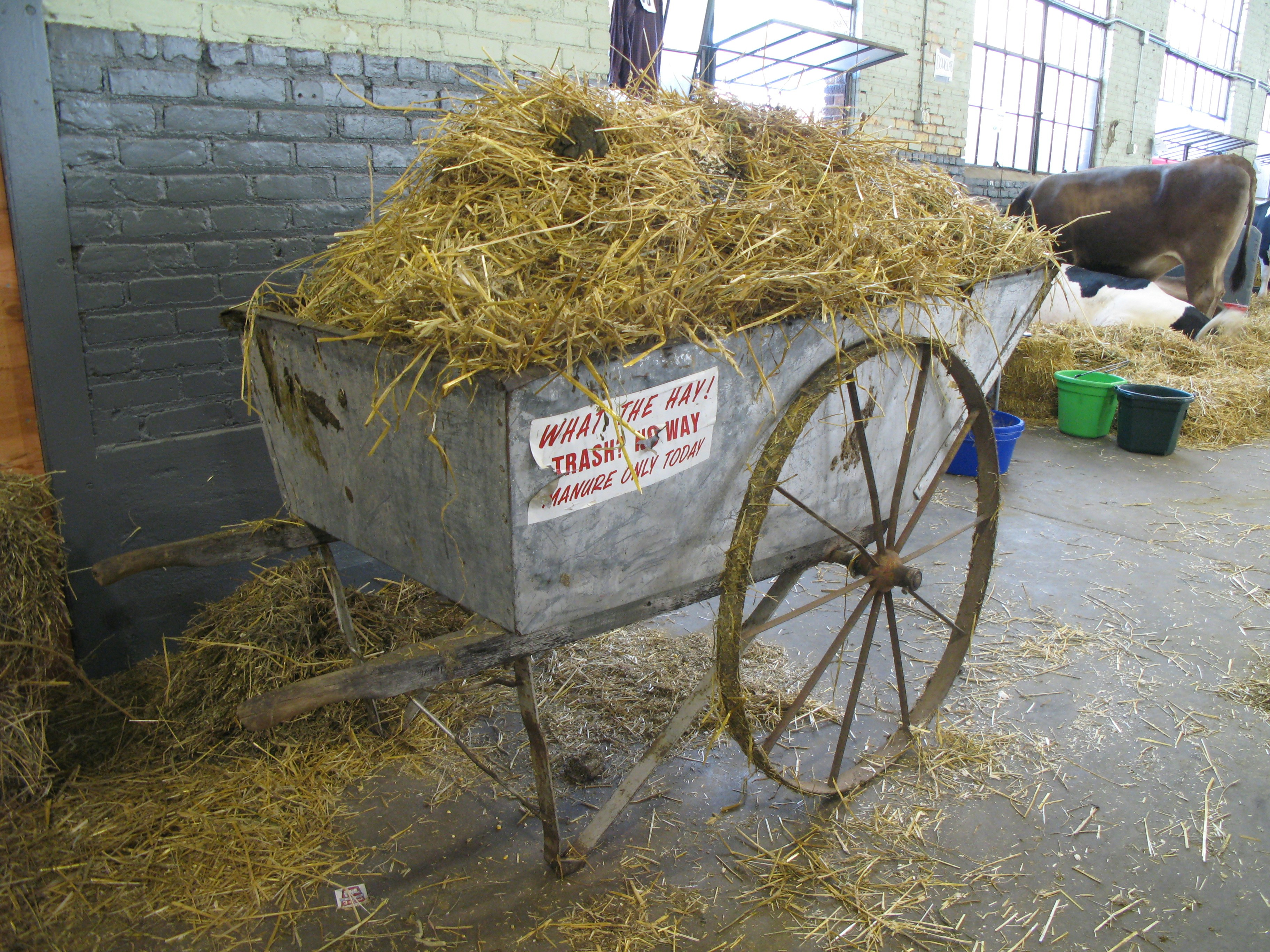 Free Unsplash photo from Rowland Gosling