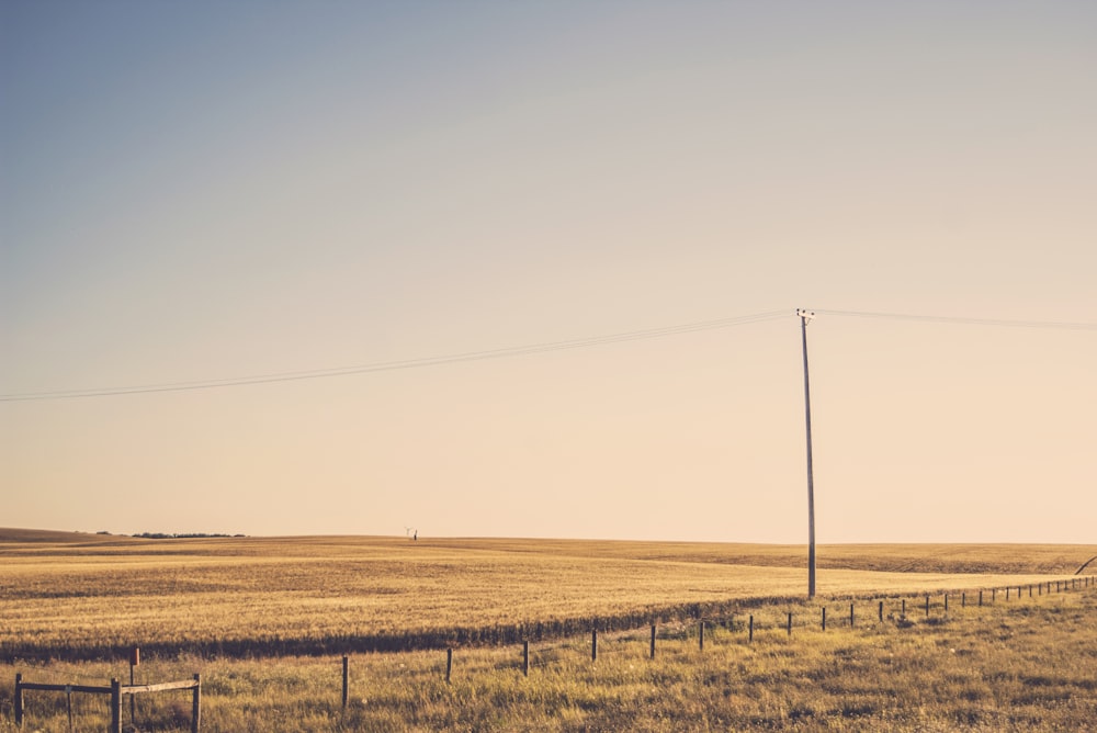 brown electric tower near brown grass field