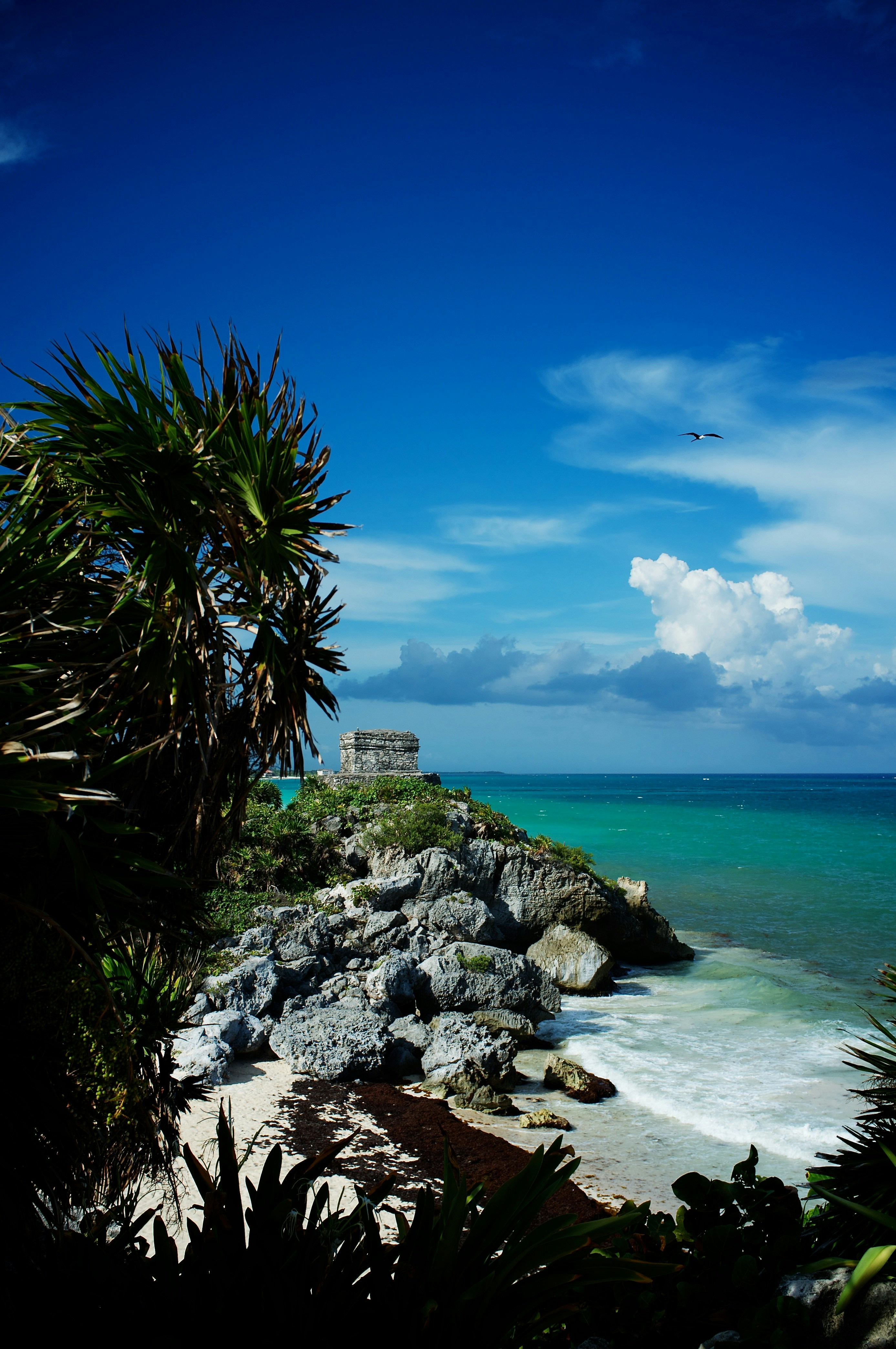 Free Unsplash photo from Lewis Cooper