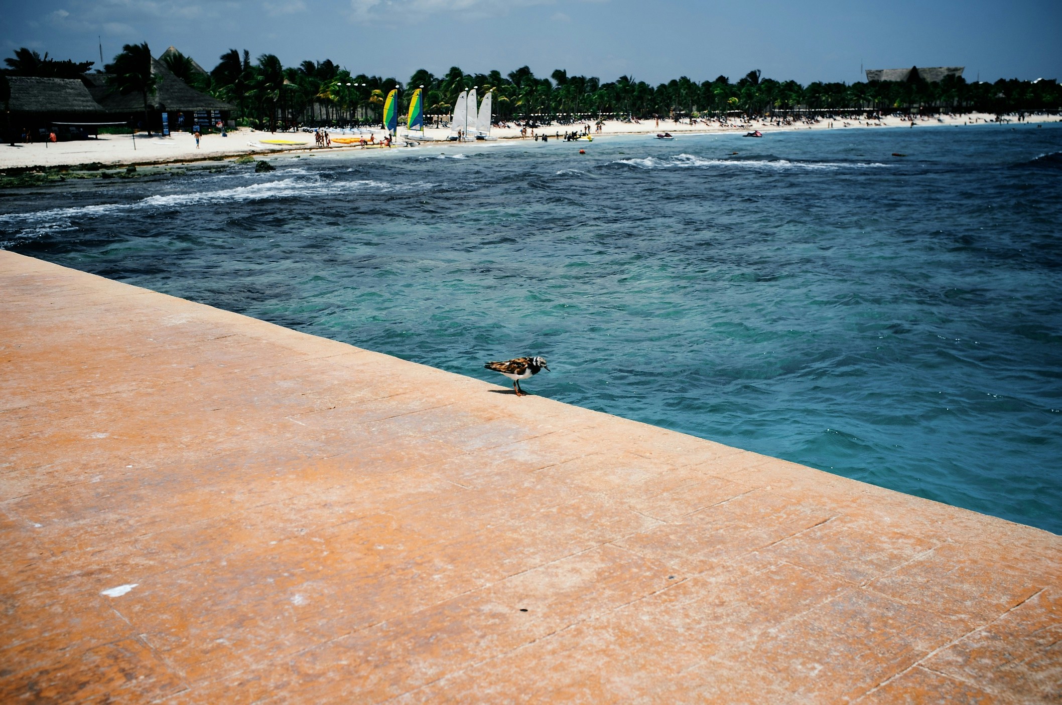 Free Unsplash photo from Lewis Cooper