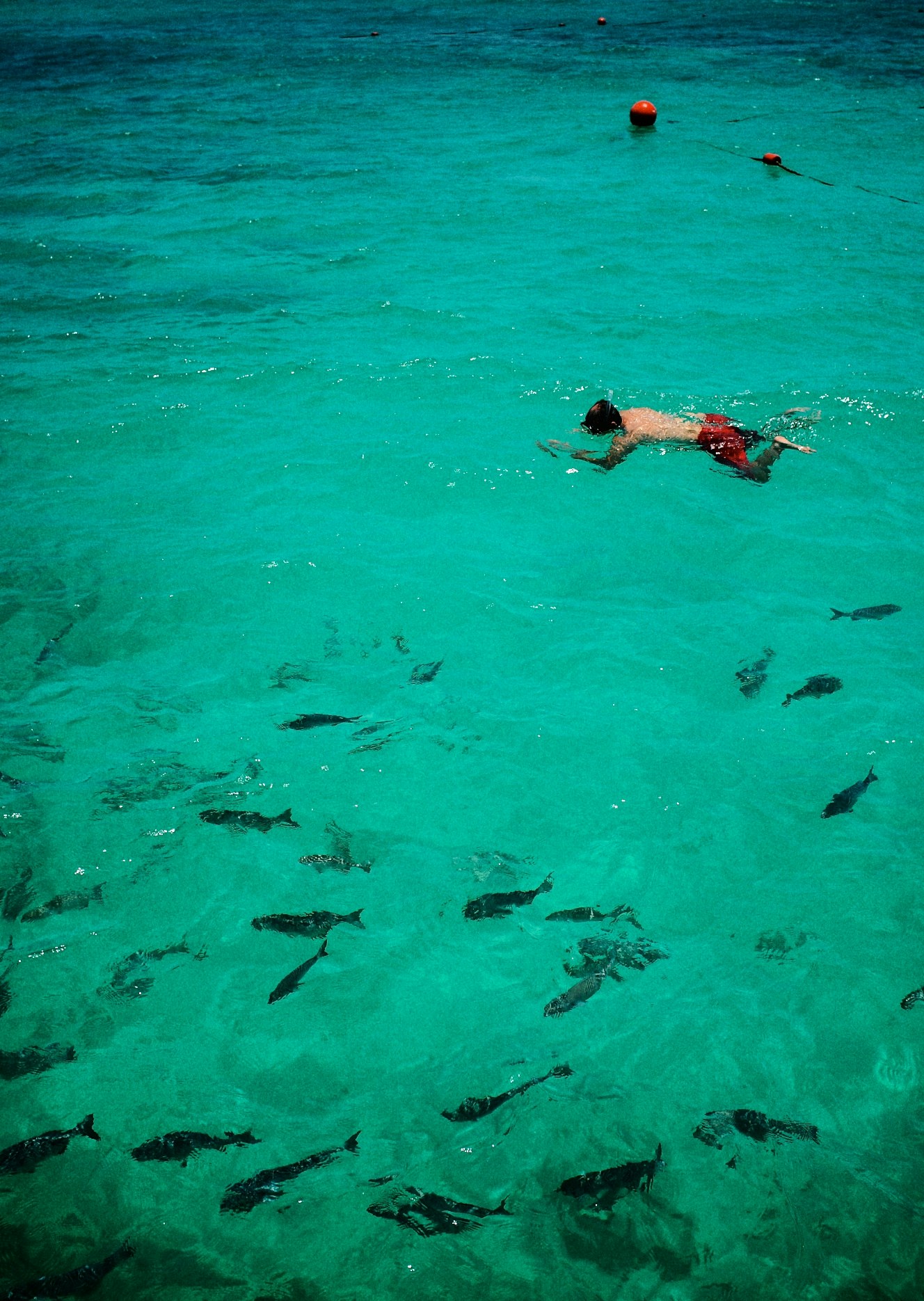 Free Unsplash photo from Lewis Cooper