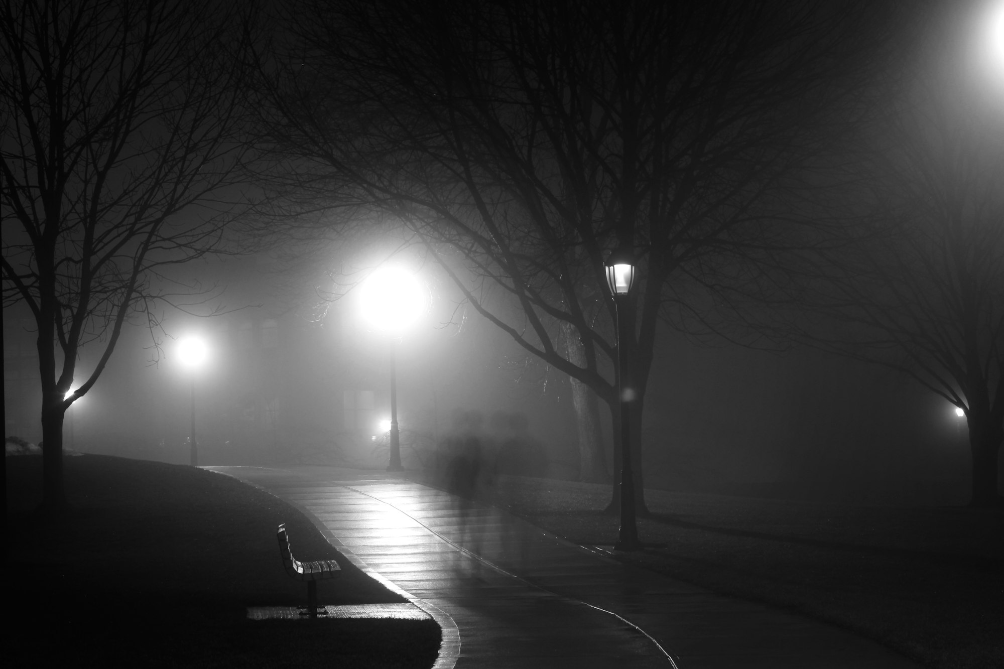 ghostly figures walking down a dark and misty lane