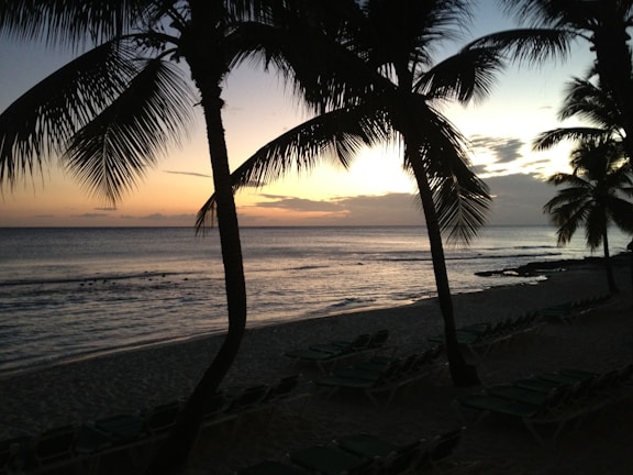 Sunset over a calm beach with gentle waves and palm trees.