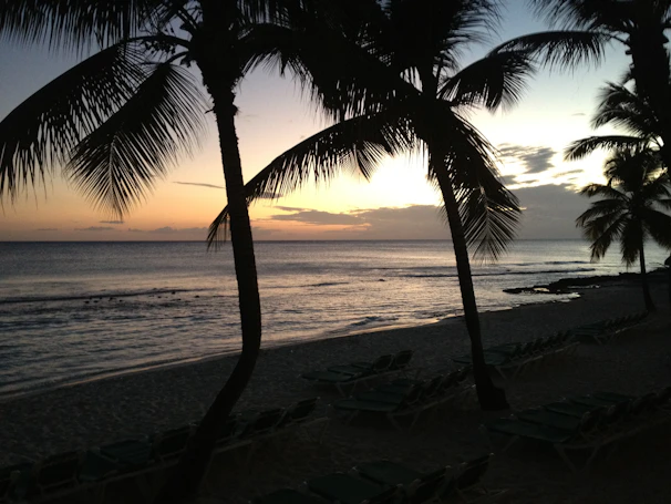 Sunset view over a calm tropical beach with palm trees swaying gently.