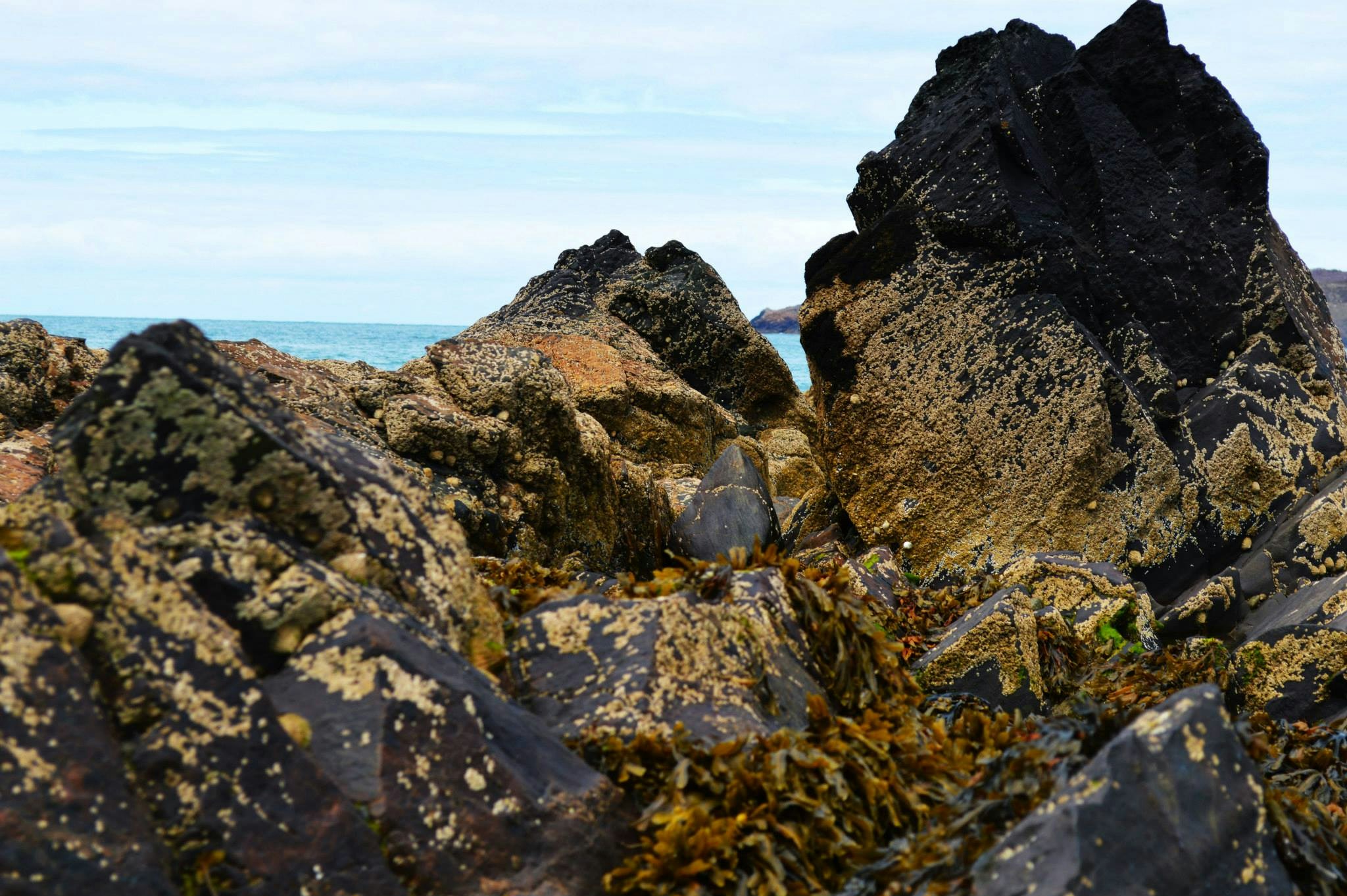 Free Unsplash photo from Mandy Baldwin