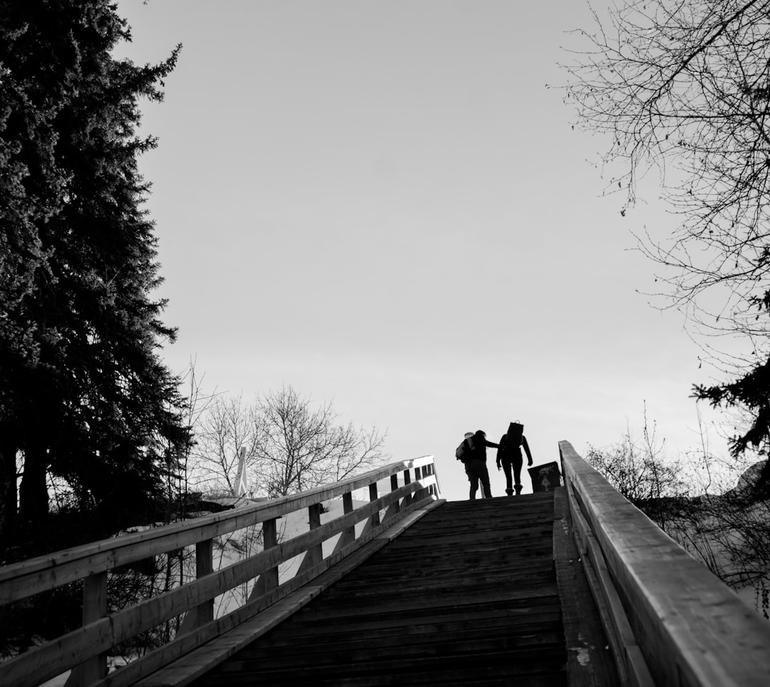 two people in a stairs near tree grey-scale photography