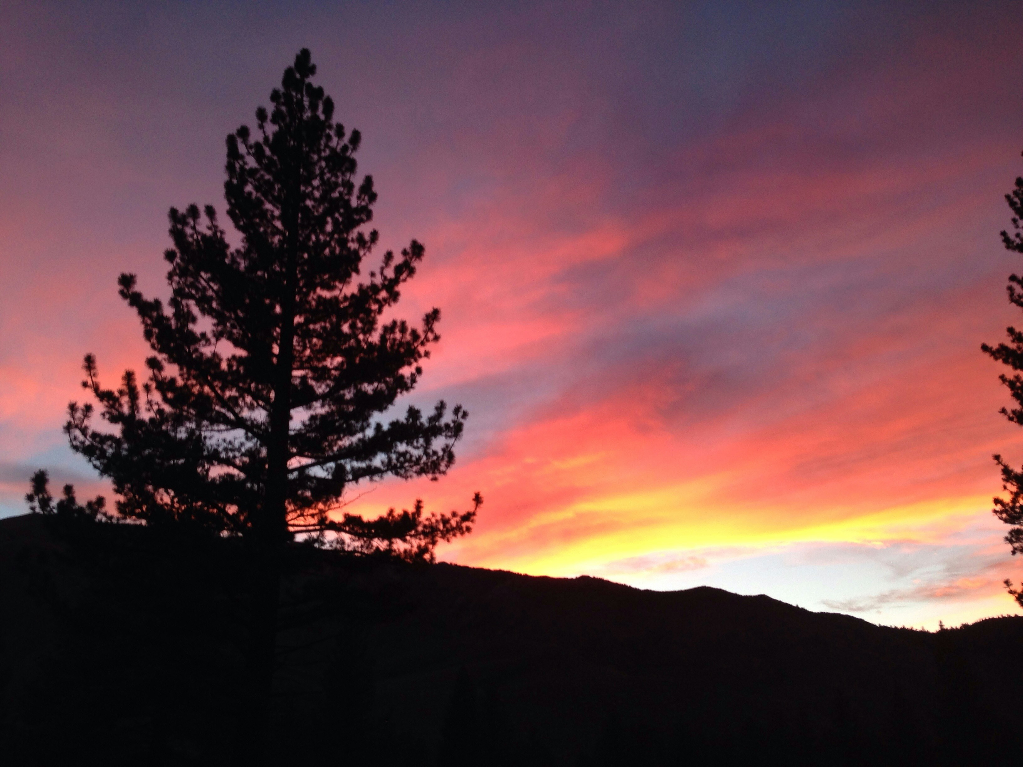 Free Unsplash photo from Kirby Crider