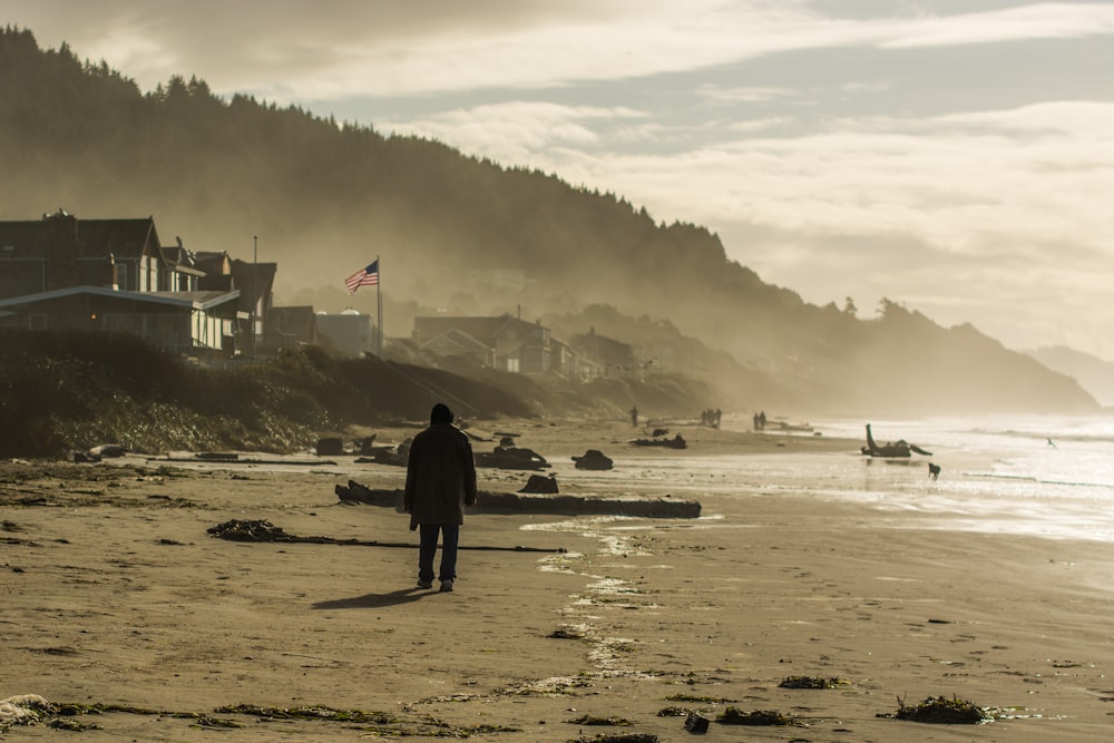 person walking on sea shore