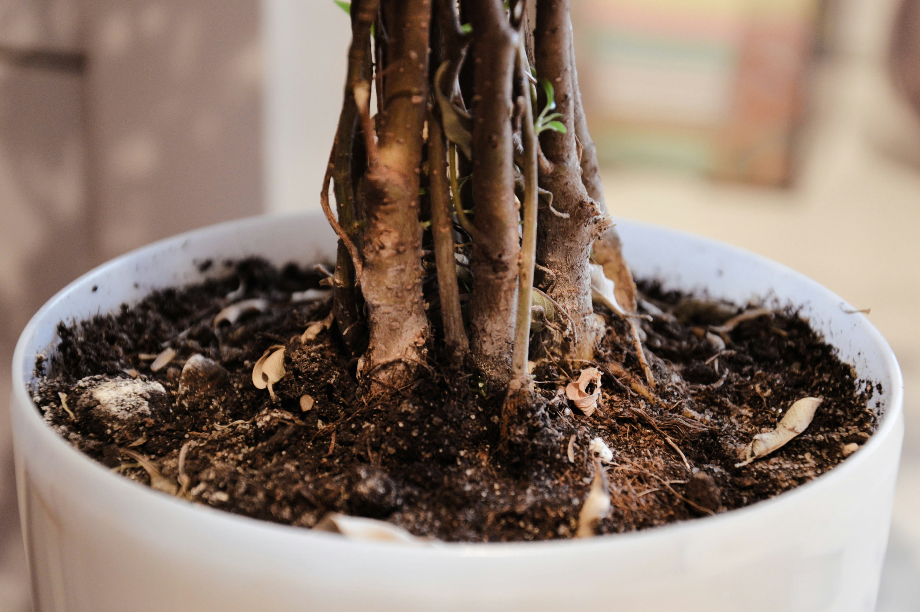 Free Unsplash photo from Dmitriy Nyashkin