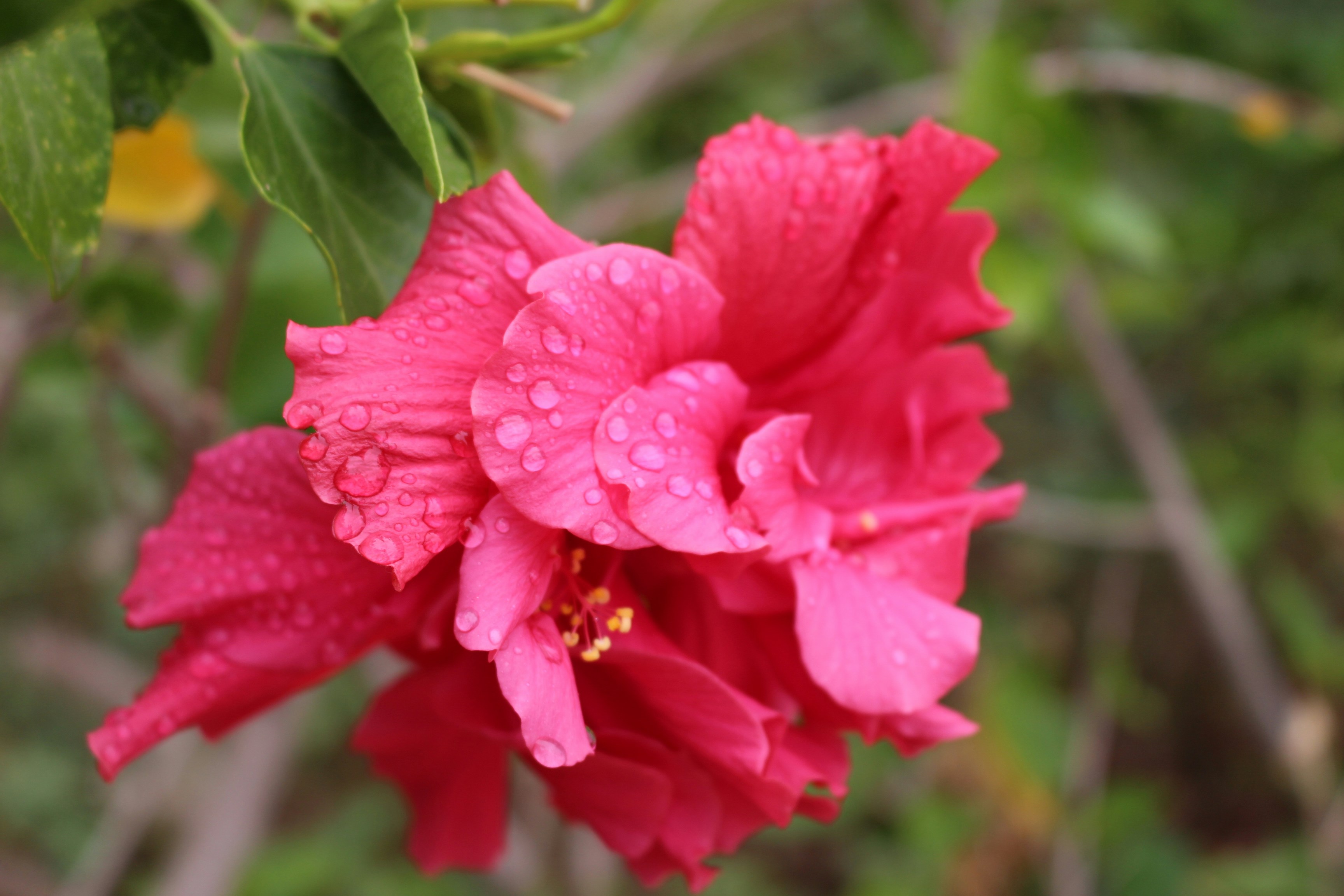 Free Unsplash photo from Wael Labrinssi