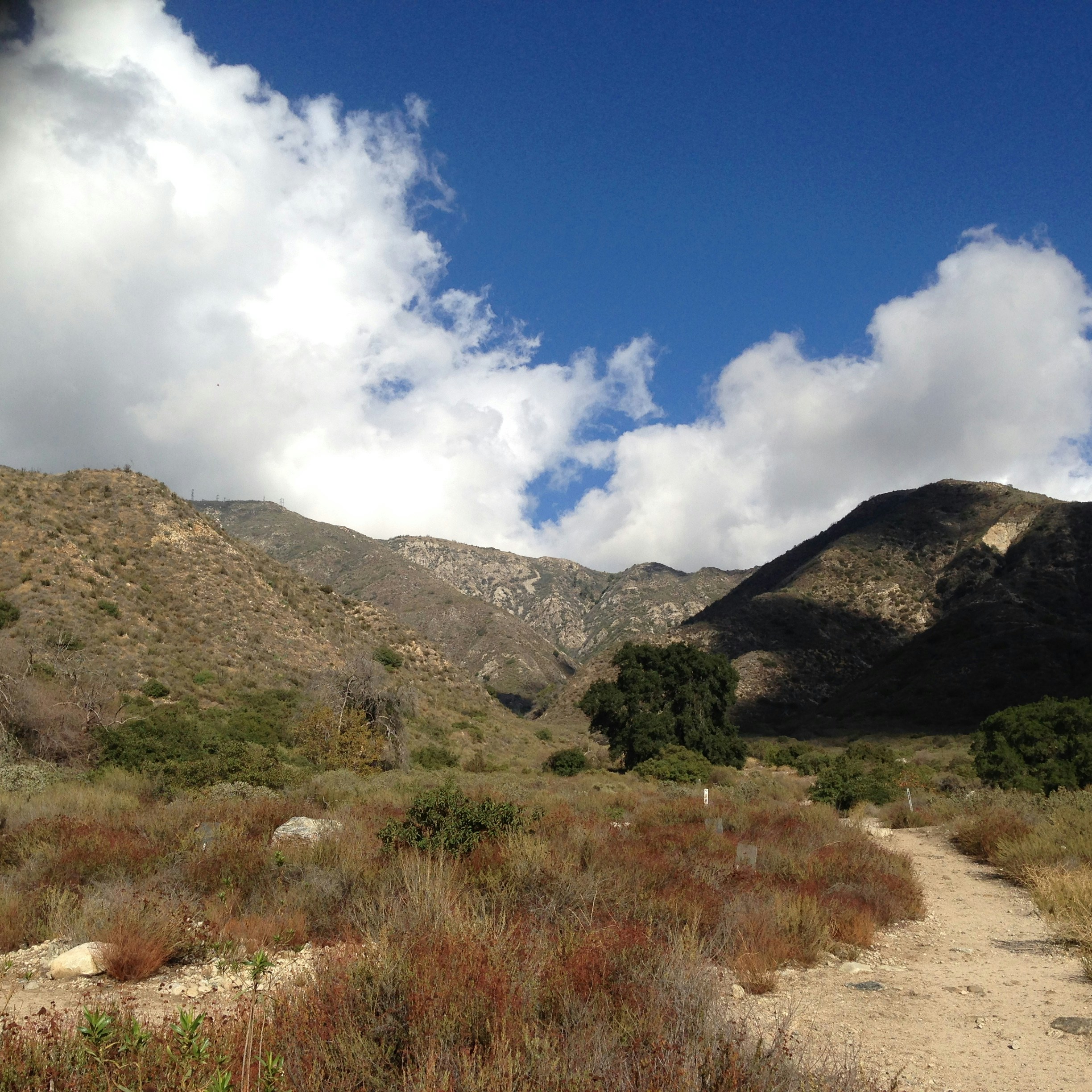 Free Unsplash photo from Hannah Tyree