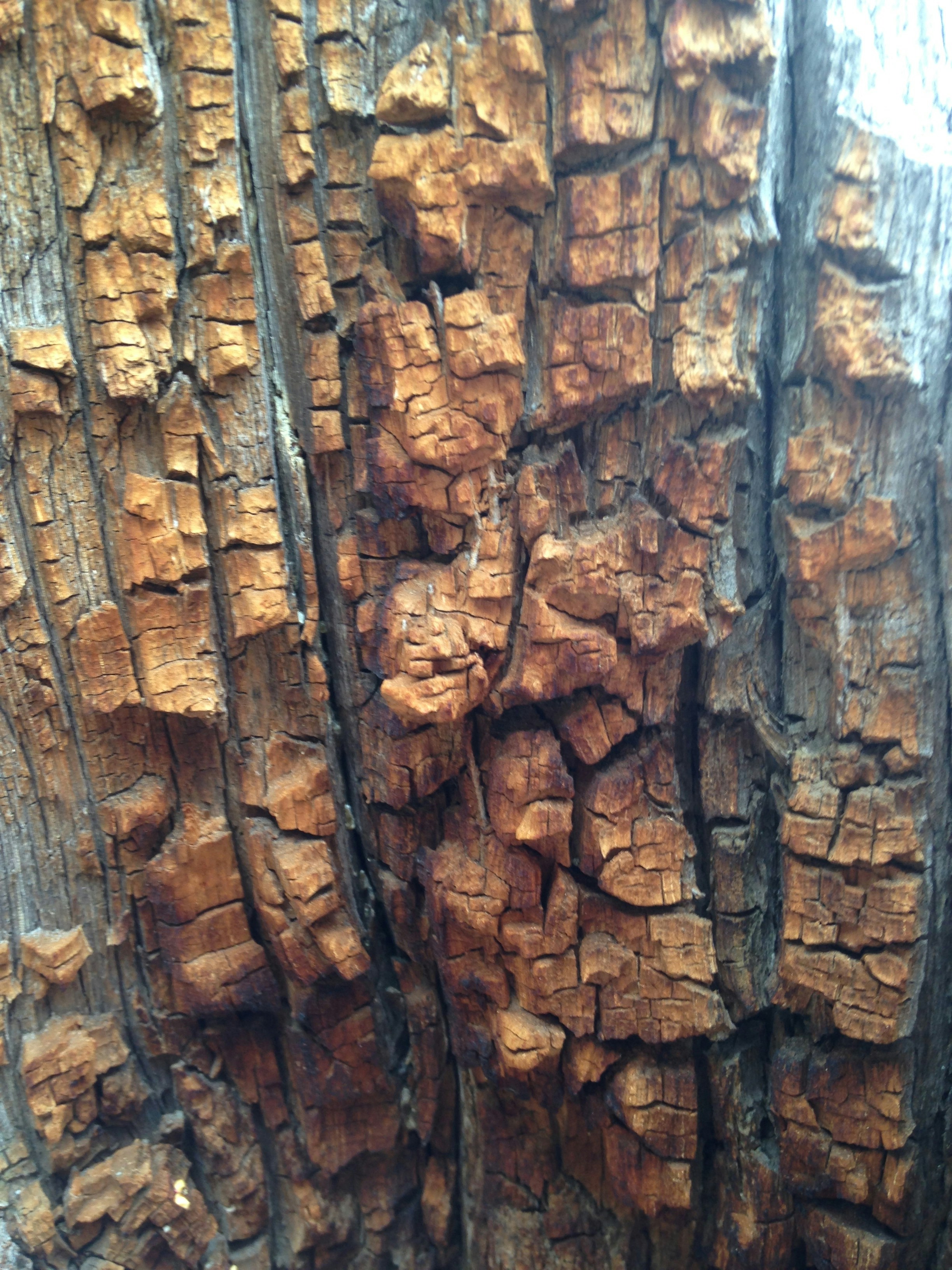 Free Unsplash photo from Tyler Smith