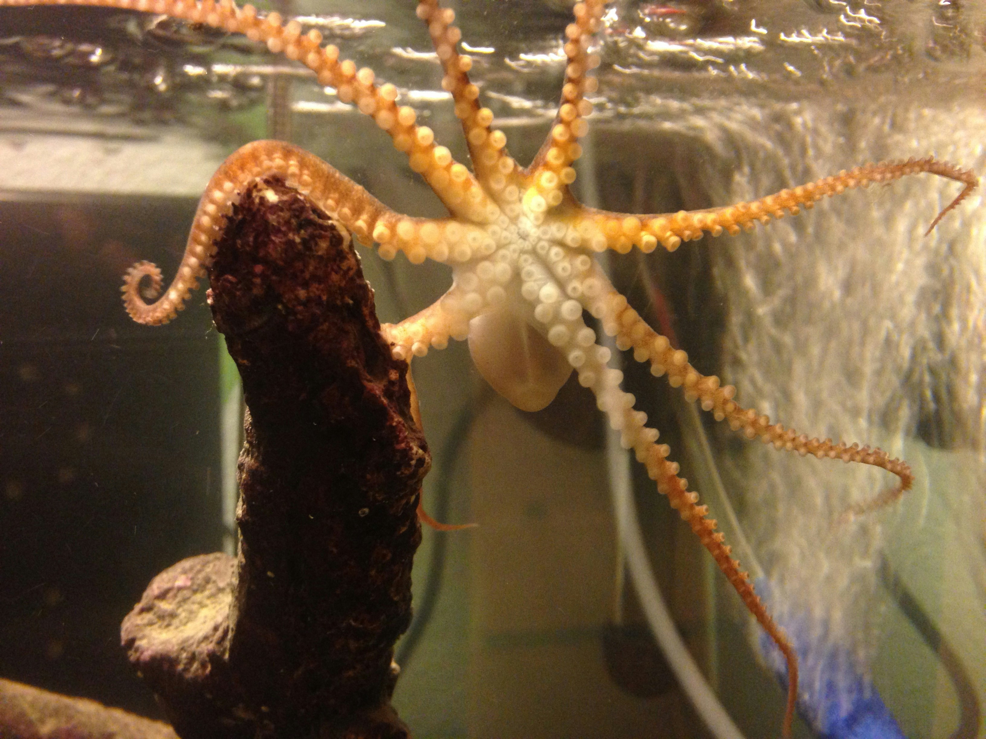 Free Unsplash photo from Tyler Smith