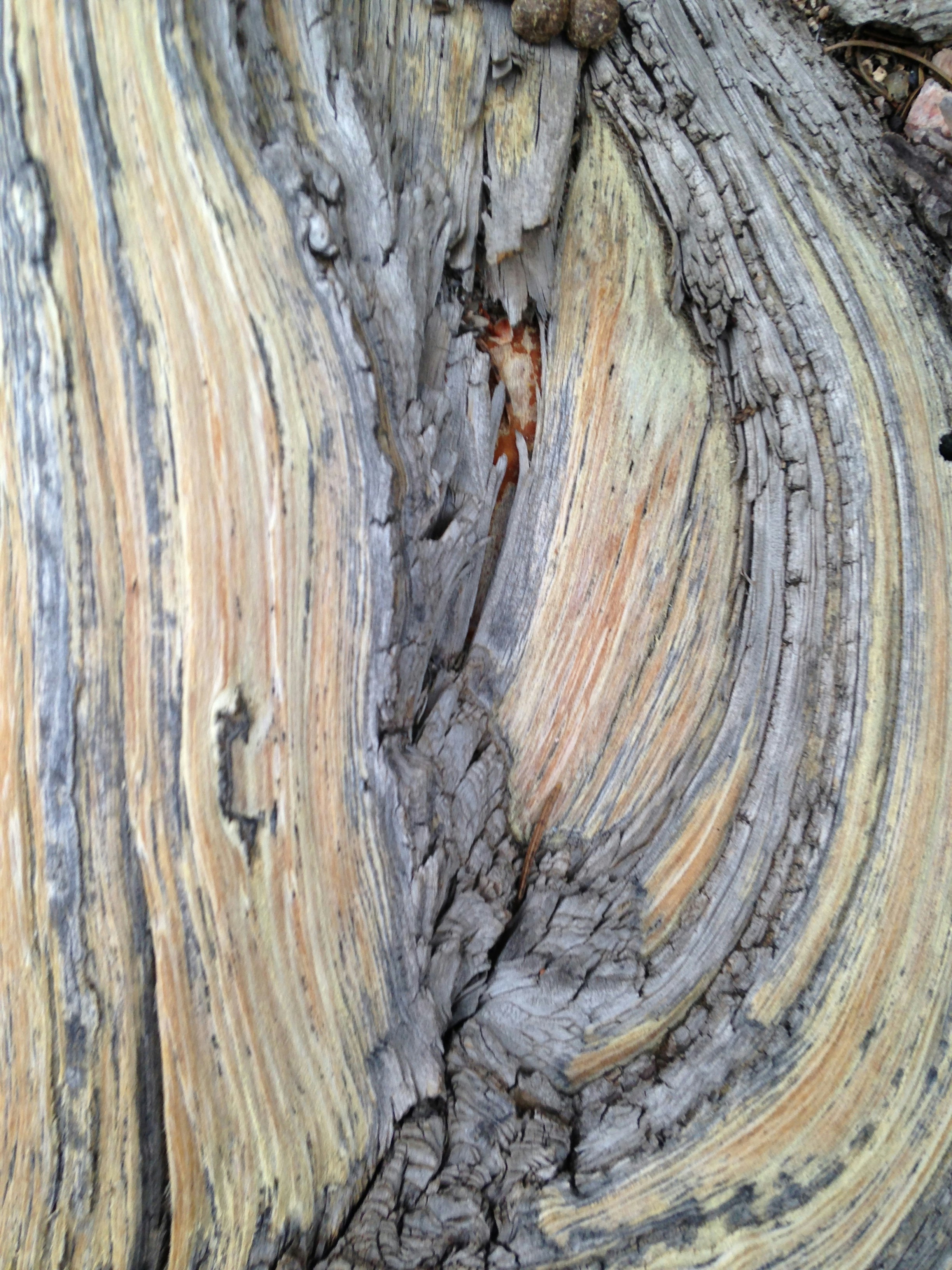 Free Unsplash photo from Tyler Smith