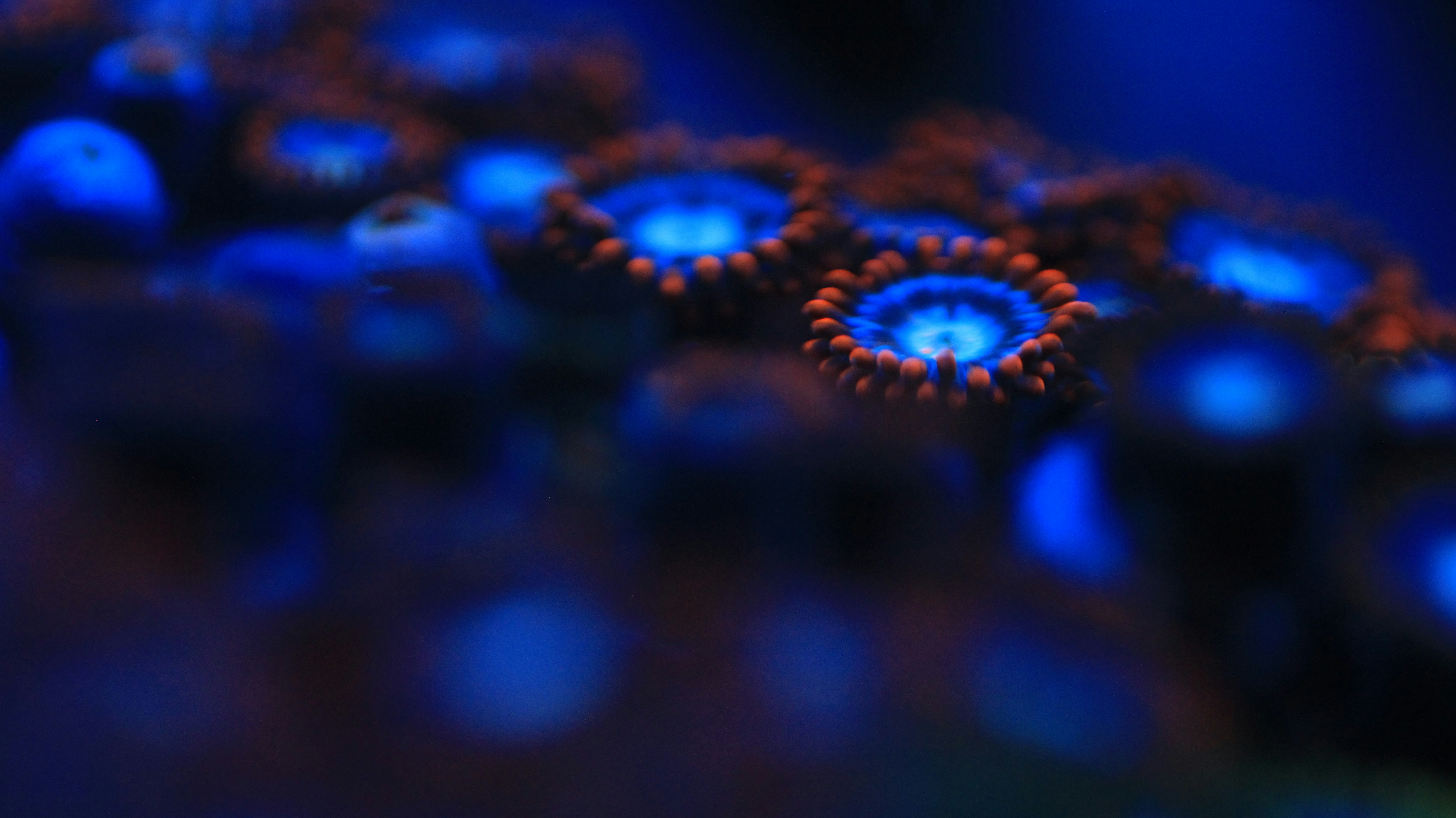 Free Unsplash photo from Tyler Smith