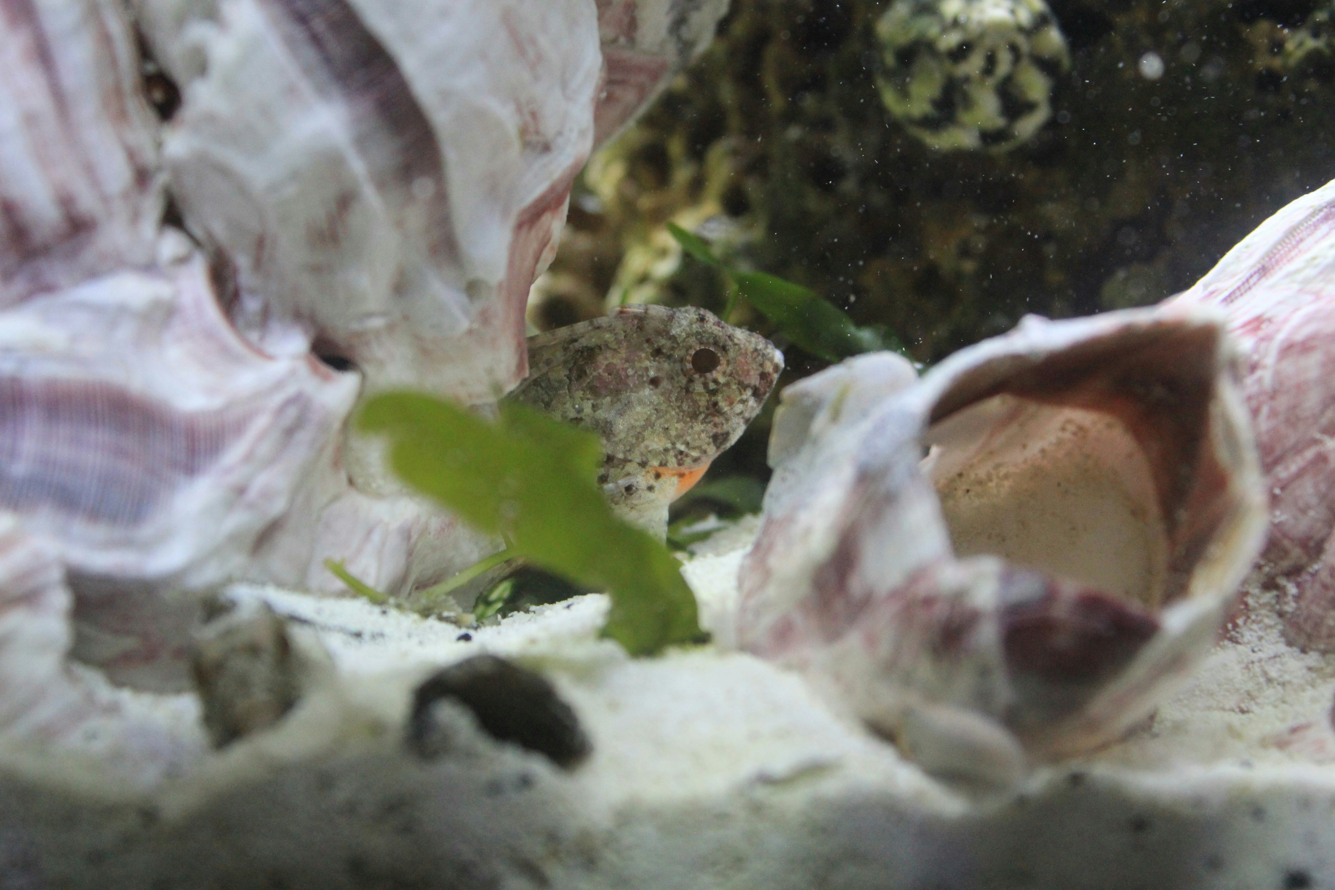 Free Unsplash photo from Tyler Smith