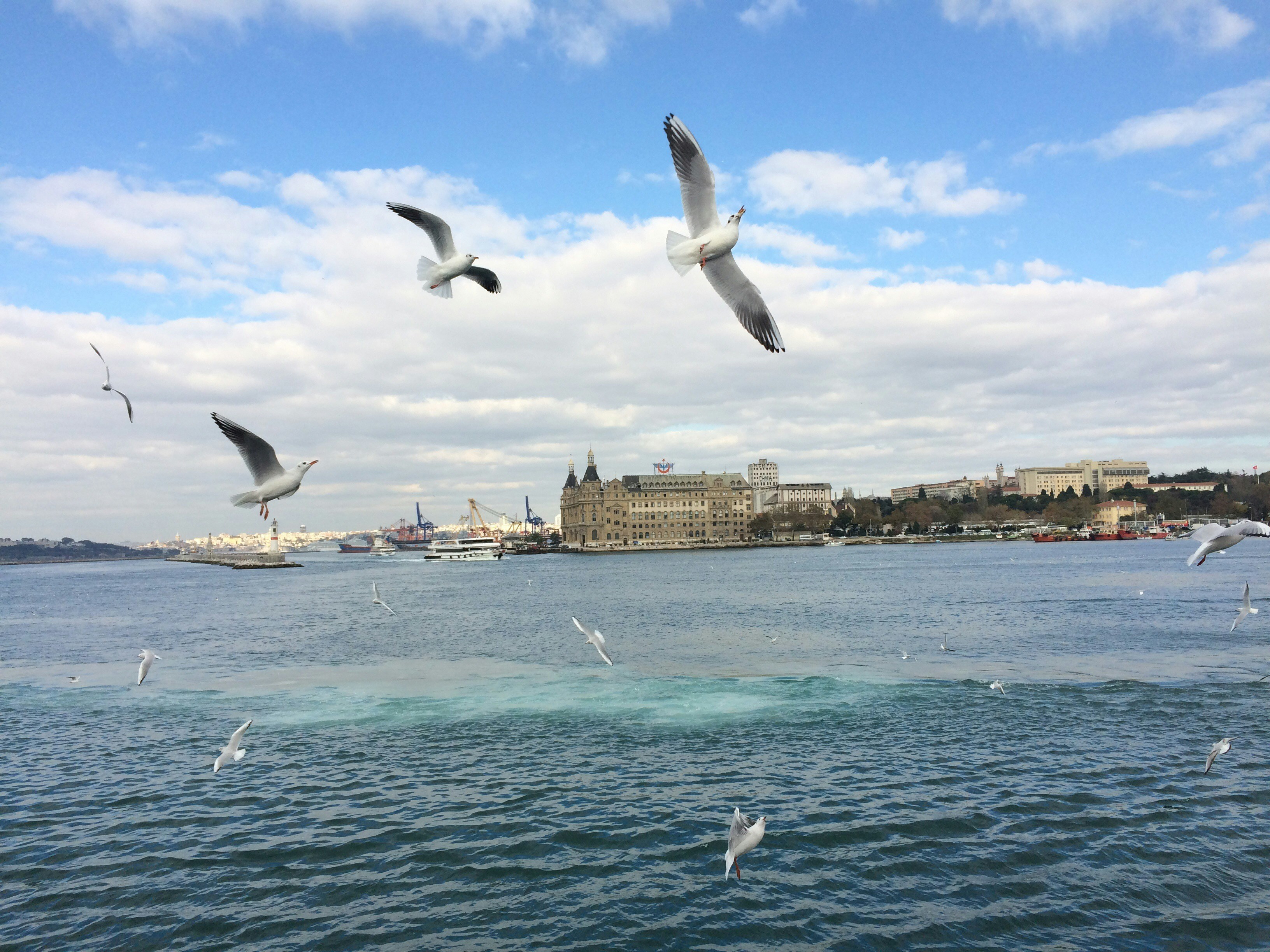 Free Unsplash photo from Pelin Tatli