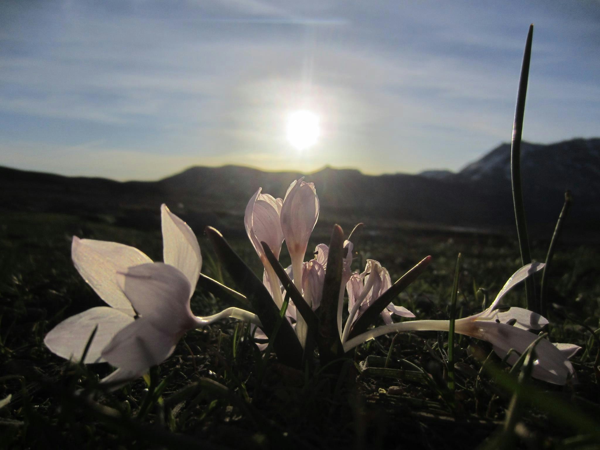 Free Unsplash photo from Pelin Tatli