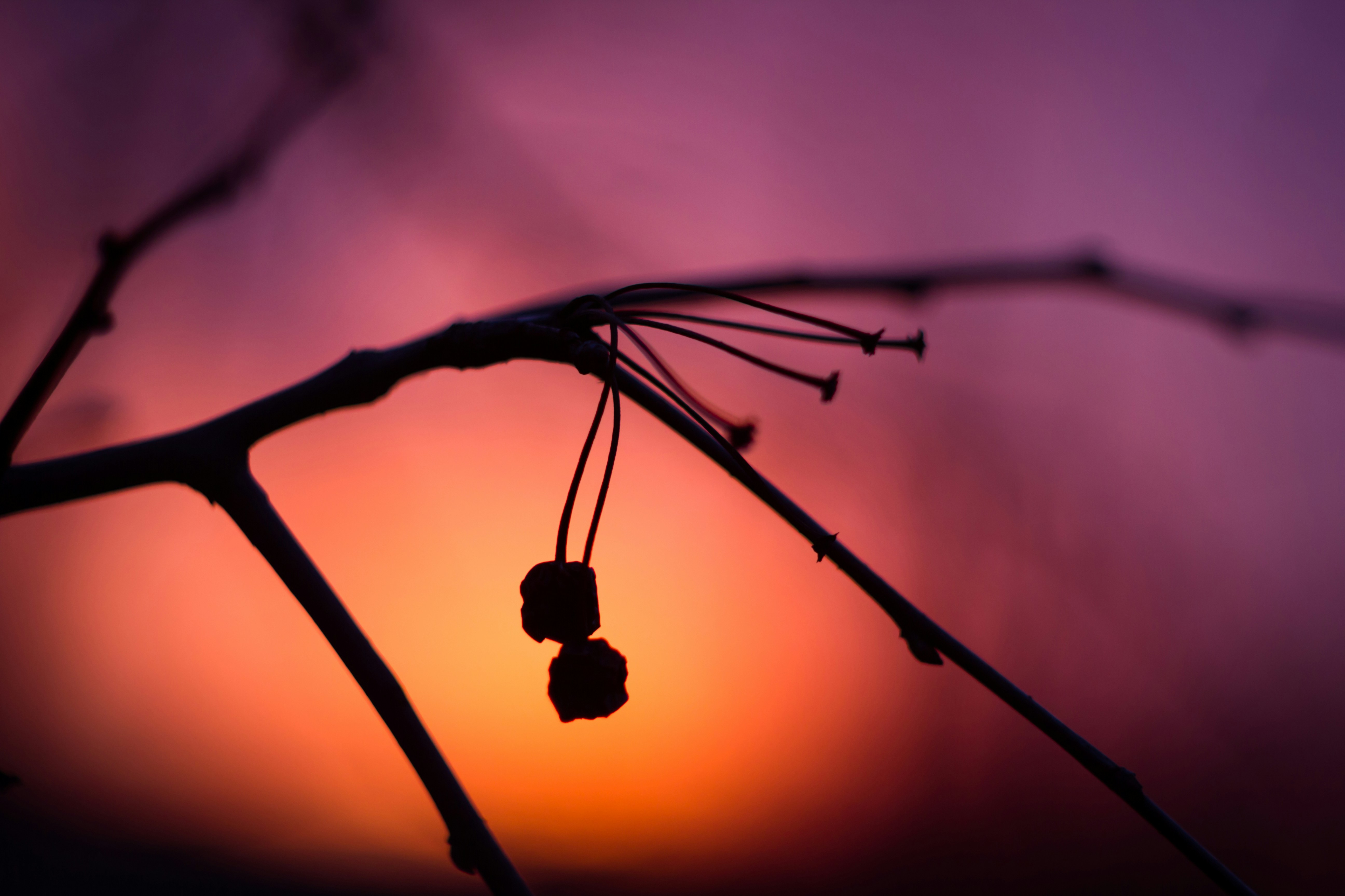 Free Unsplash photo from Benjamin Leeds