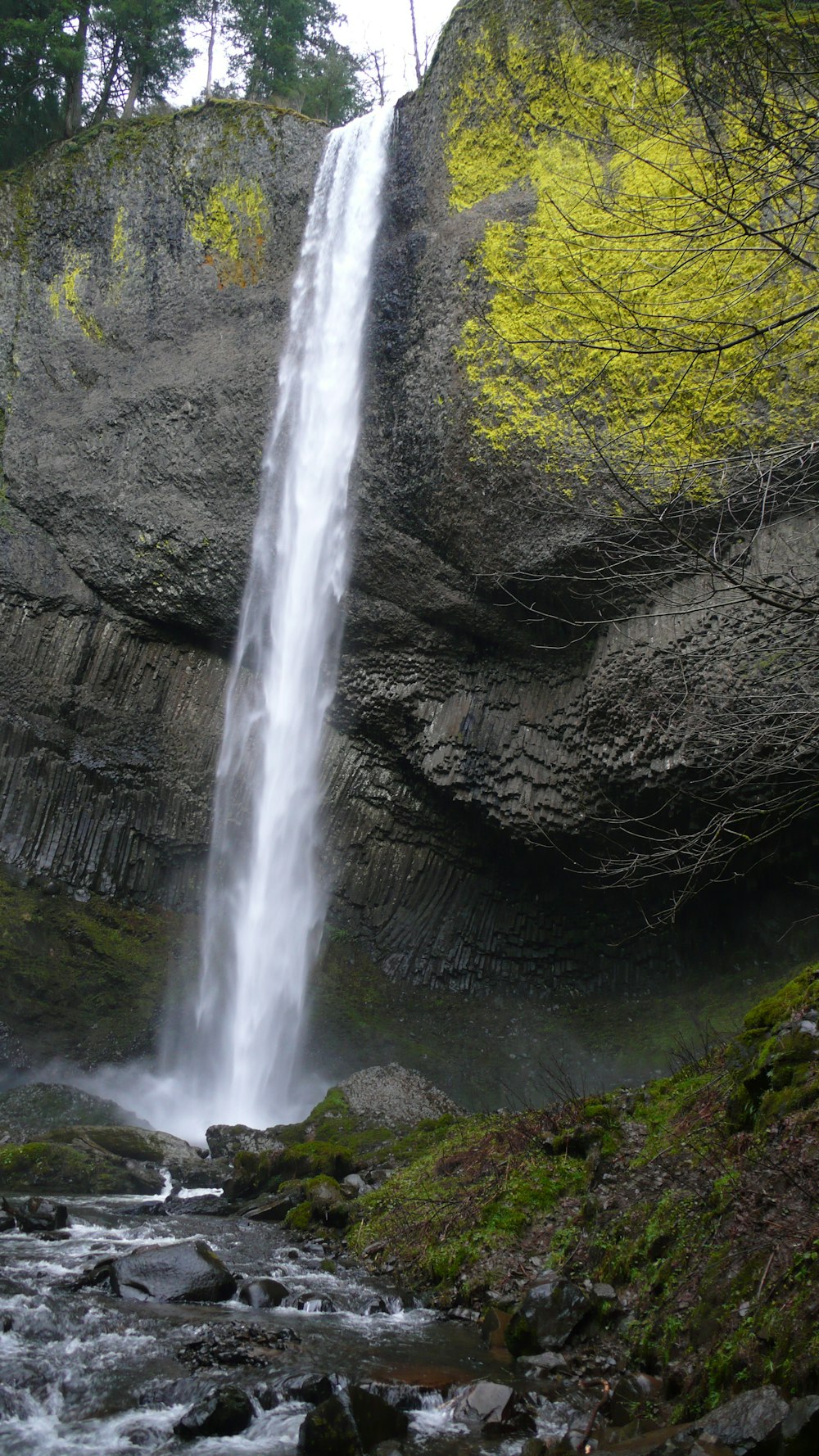 water falls in the middle of the forest