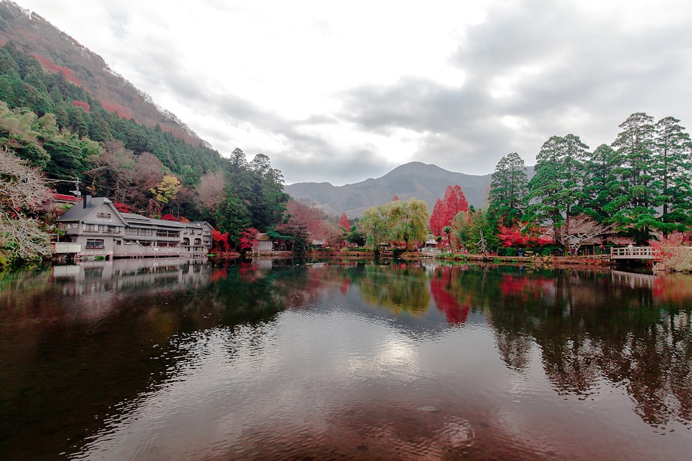 landscape photography of body of water surrounded with trees