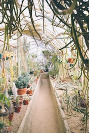 assorted plants on a white enclosure