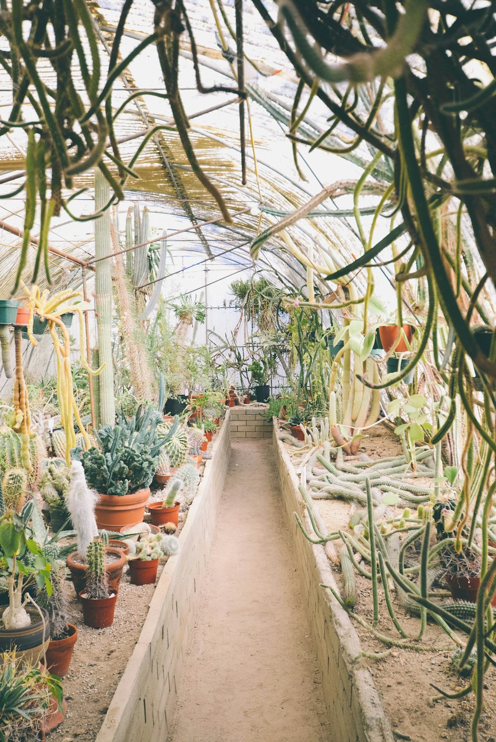 assorted plants on a white enclosure