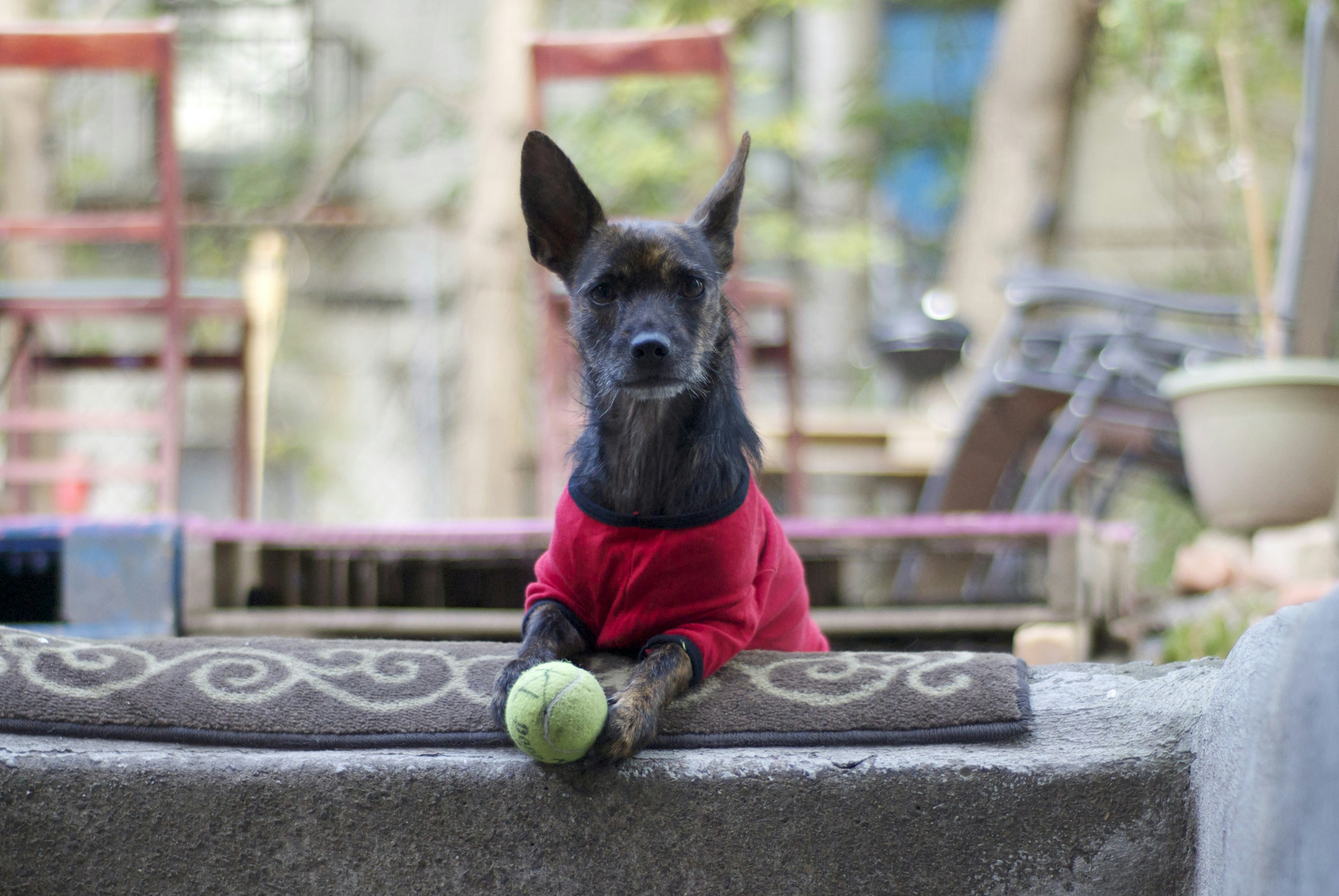 Free Unsplash photo from Victoria Lambino