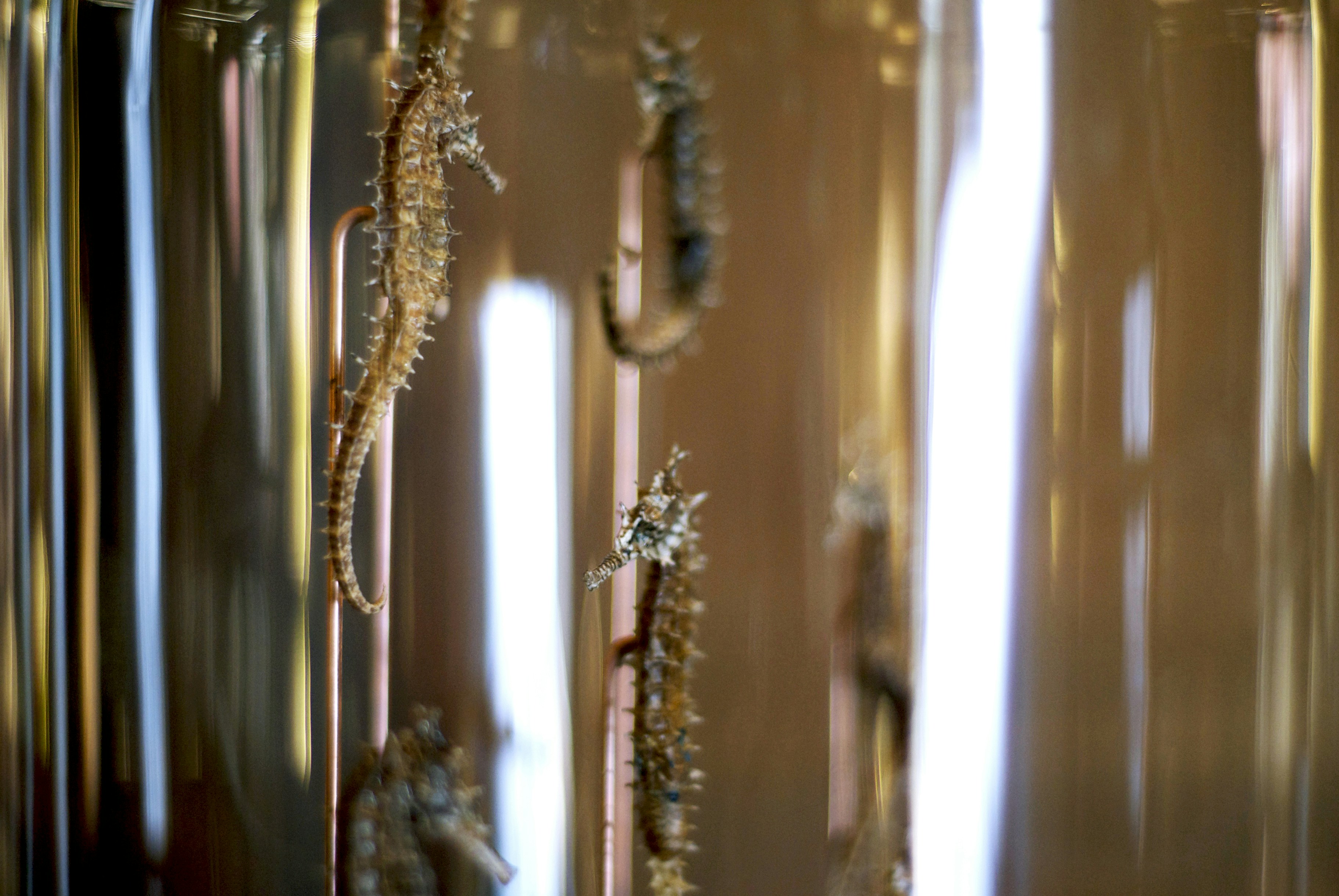 Free Unsplash photo from Victoria Lambino